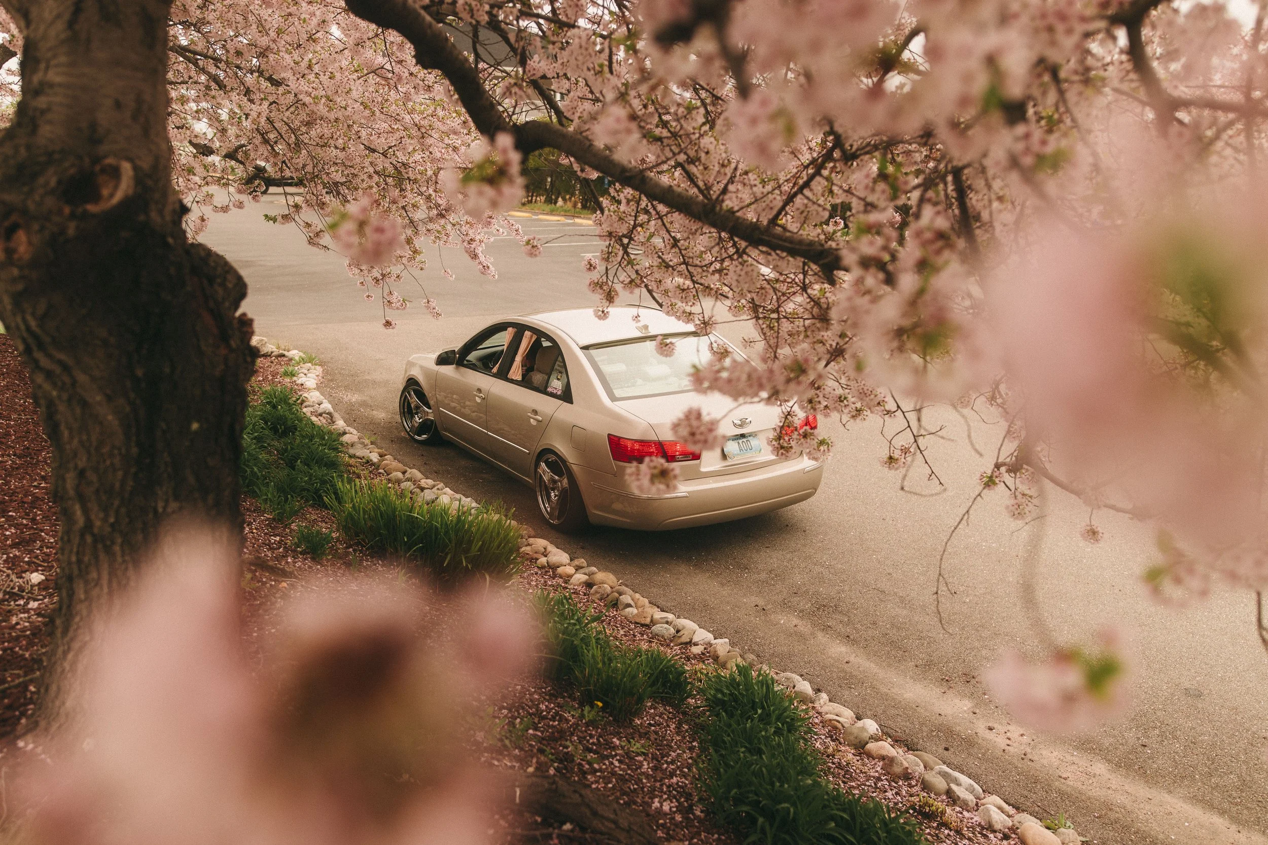 chesapeake cars and coffee-11.jpg