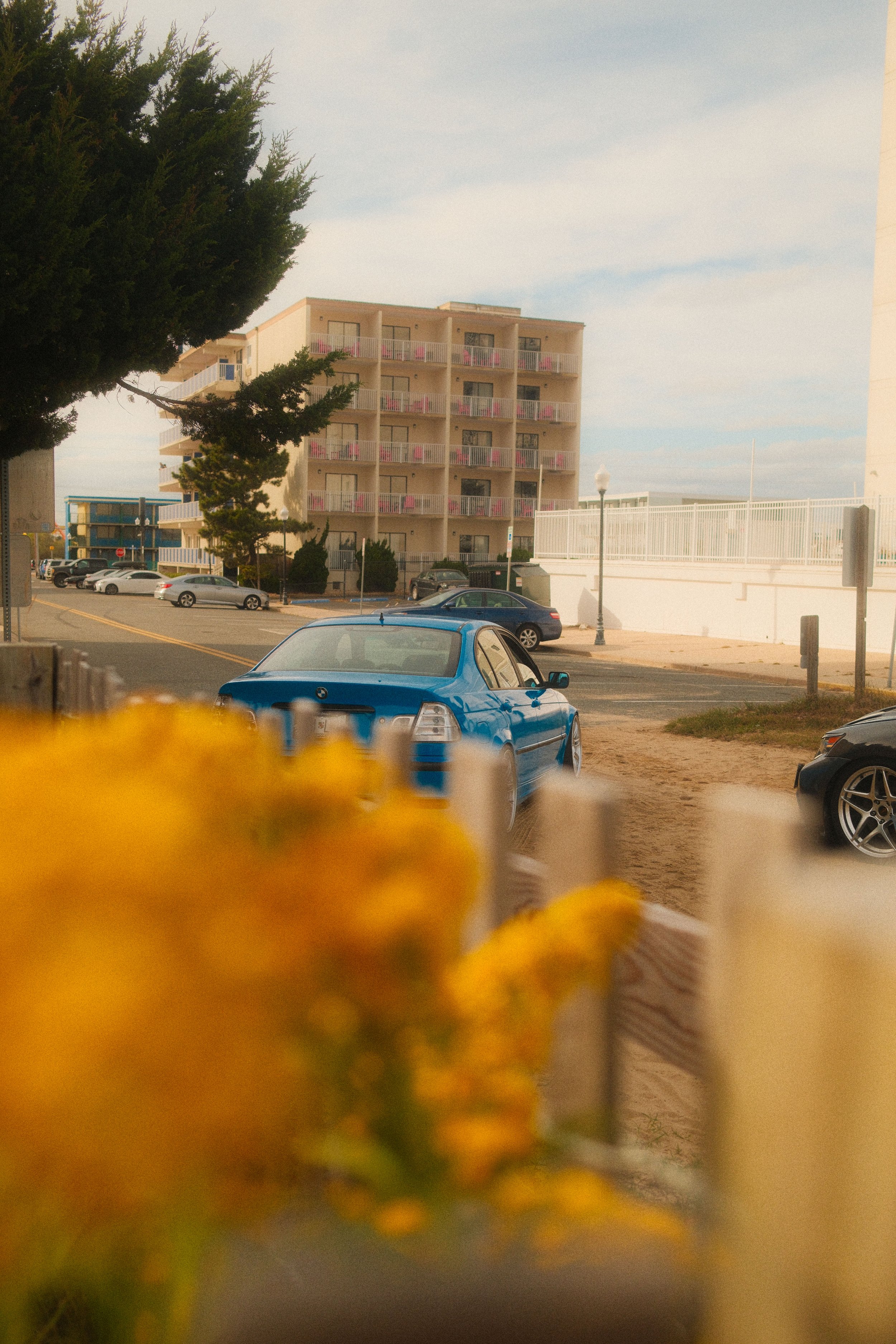 endless cruisin day 1-16.jpg