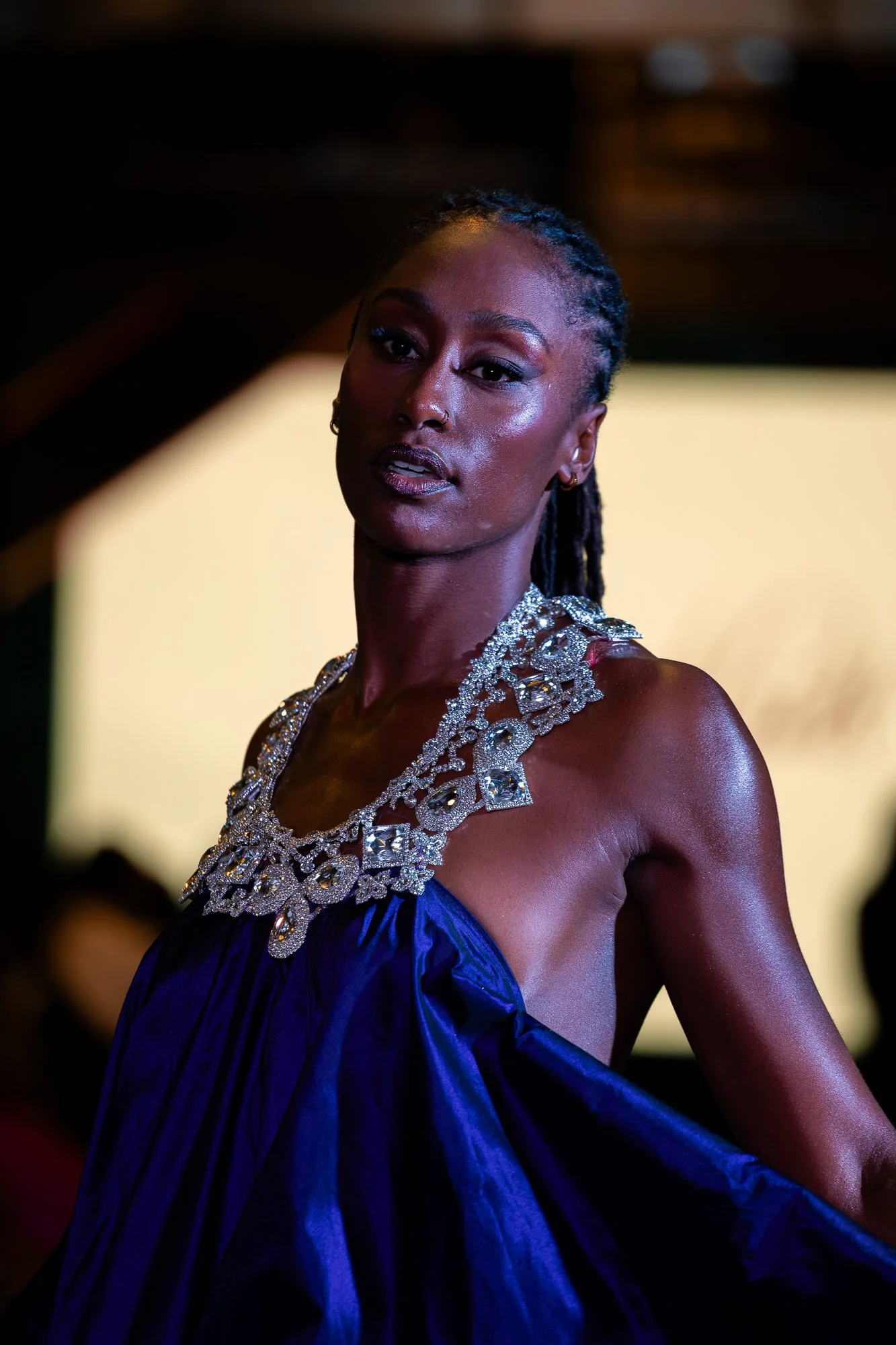 dmv gala-188.jpg