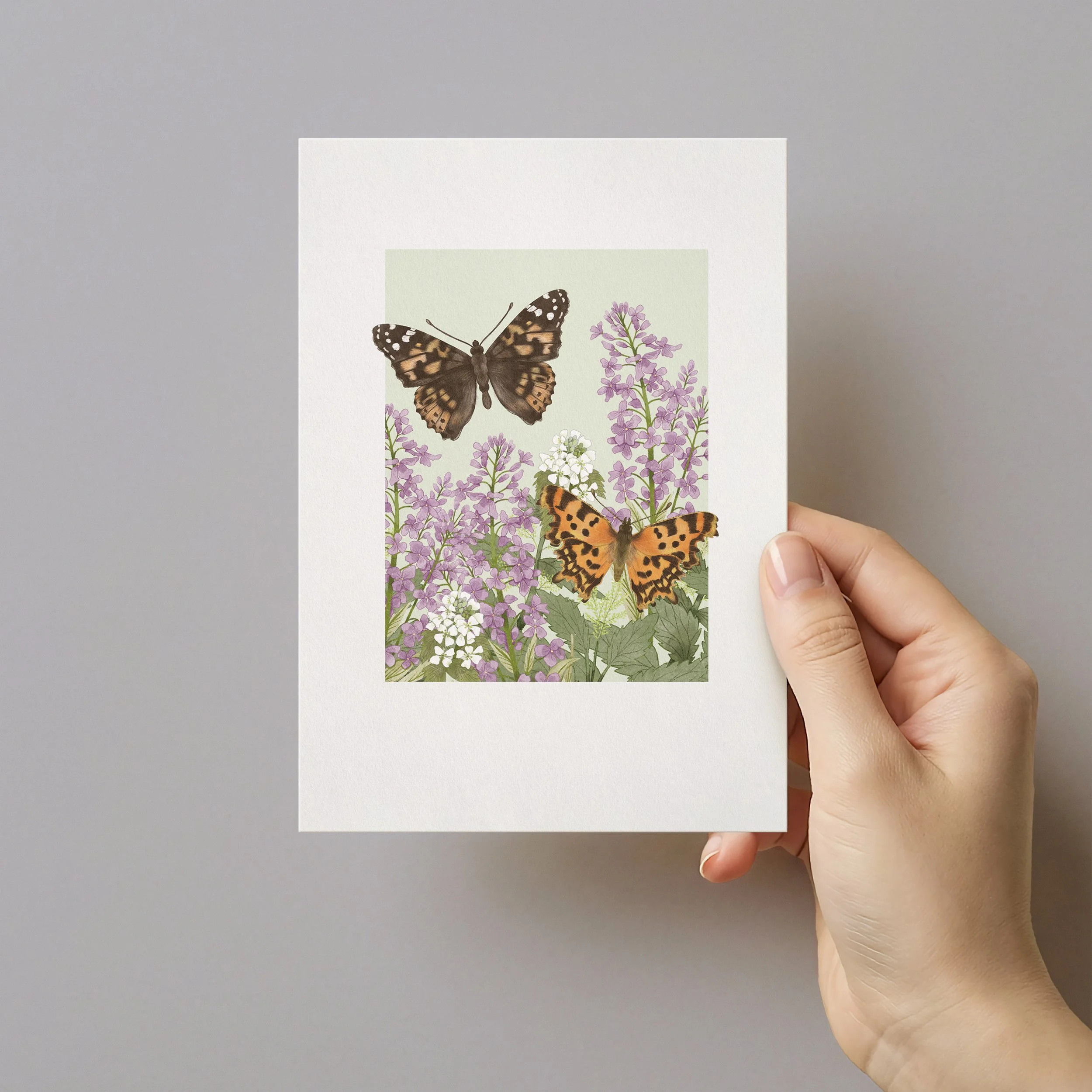 Hand holding an illustrated greeting card. The watercolour illustration is painted by Cassandra Riley and features a Painted Lady Butterfly and Comma butterfly amongst purple and white flowers.
