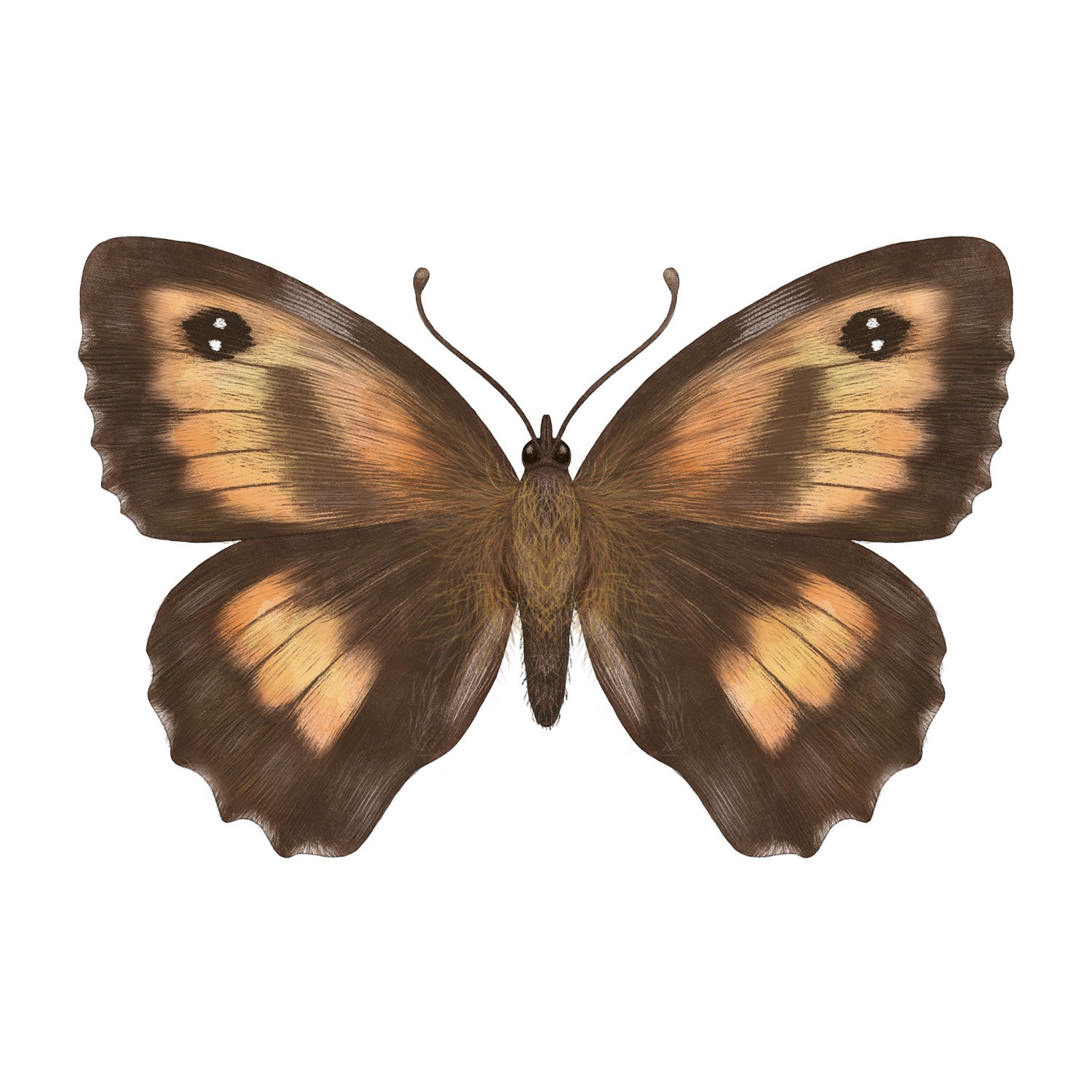 GATEKEEPER