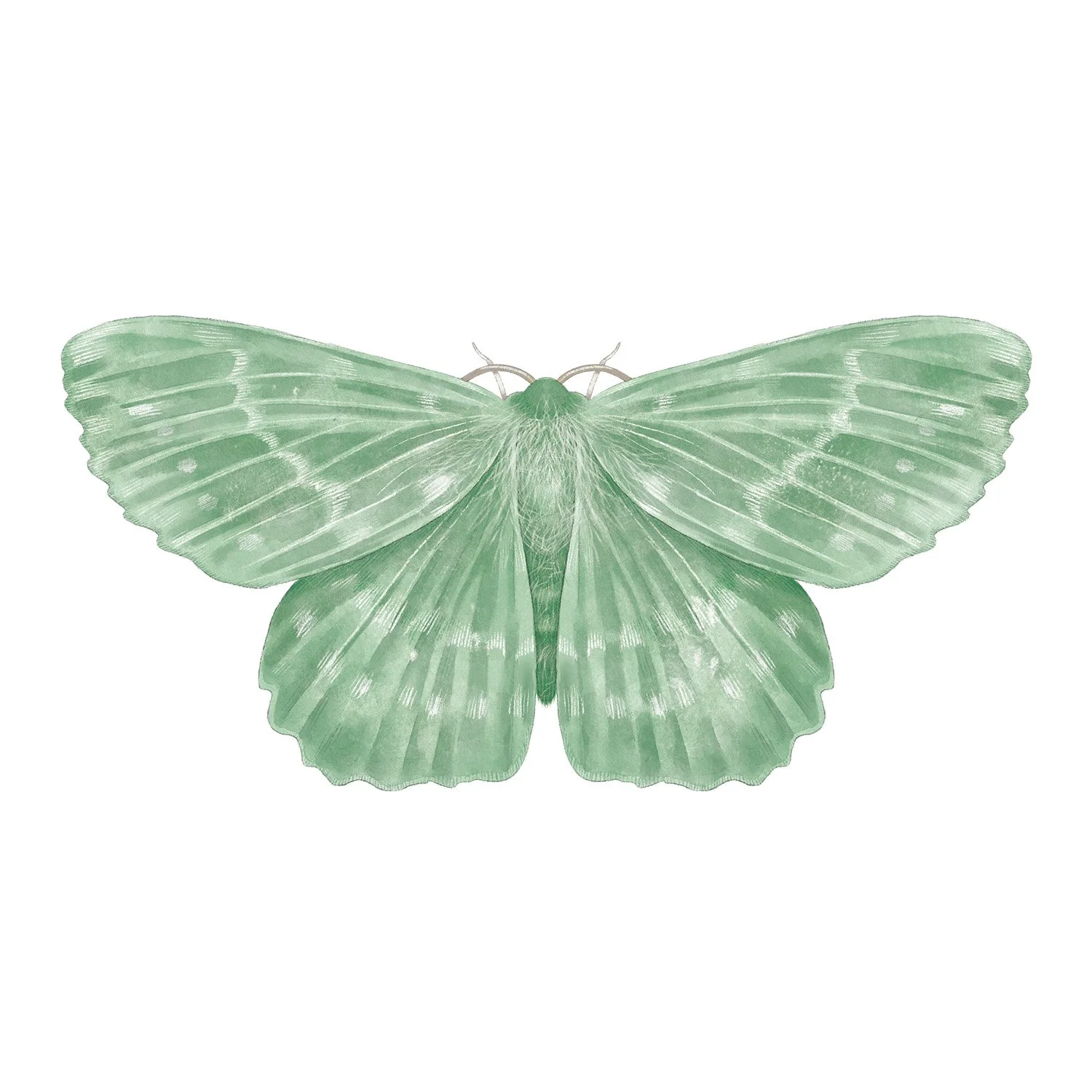 LARGE EMERALD
