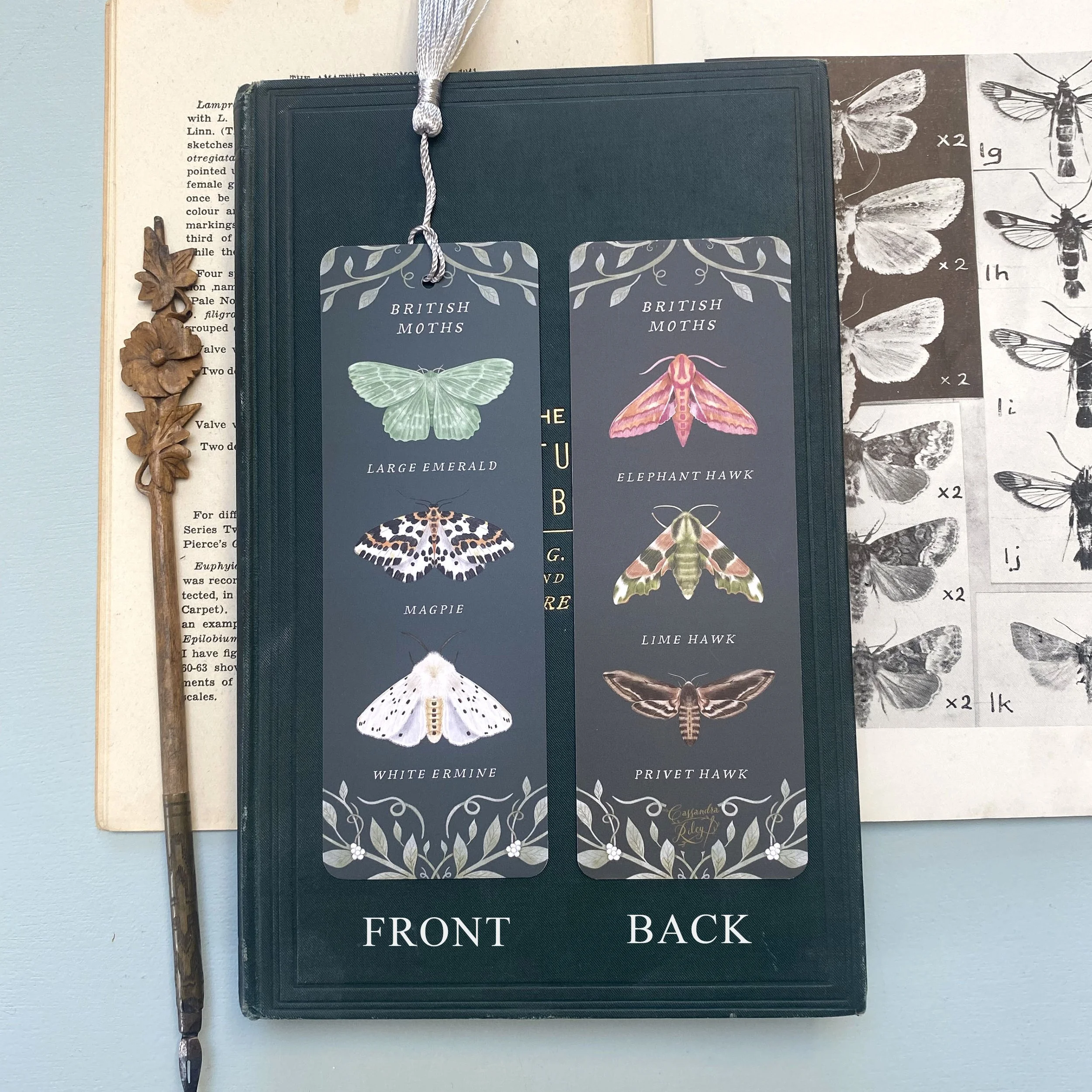 British insect bookmark.jpg