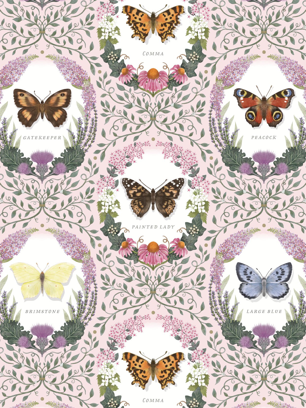 BUTTERFLY PORTRAITS PATTERN - CRD117