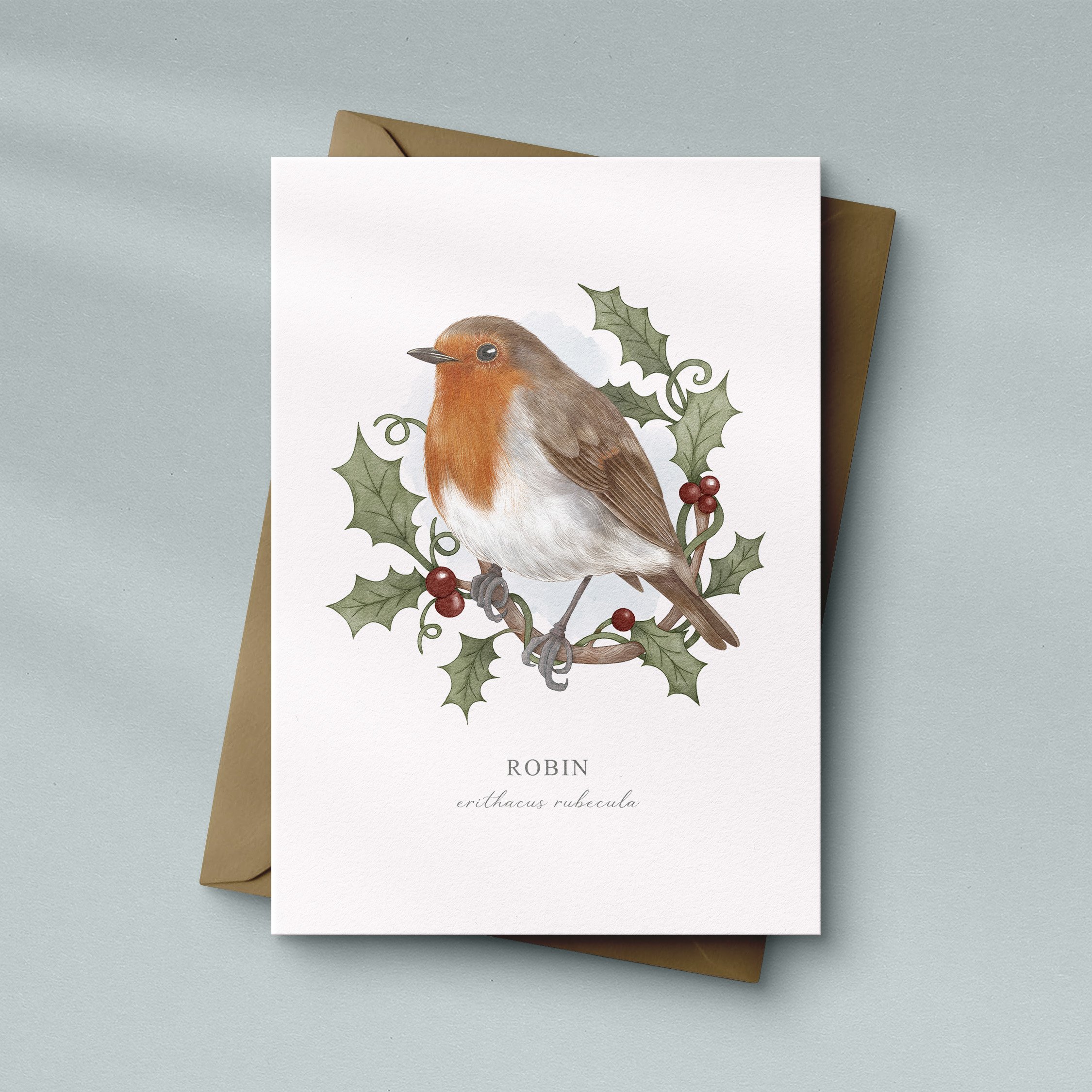 Robin illustrated greeting card
