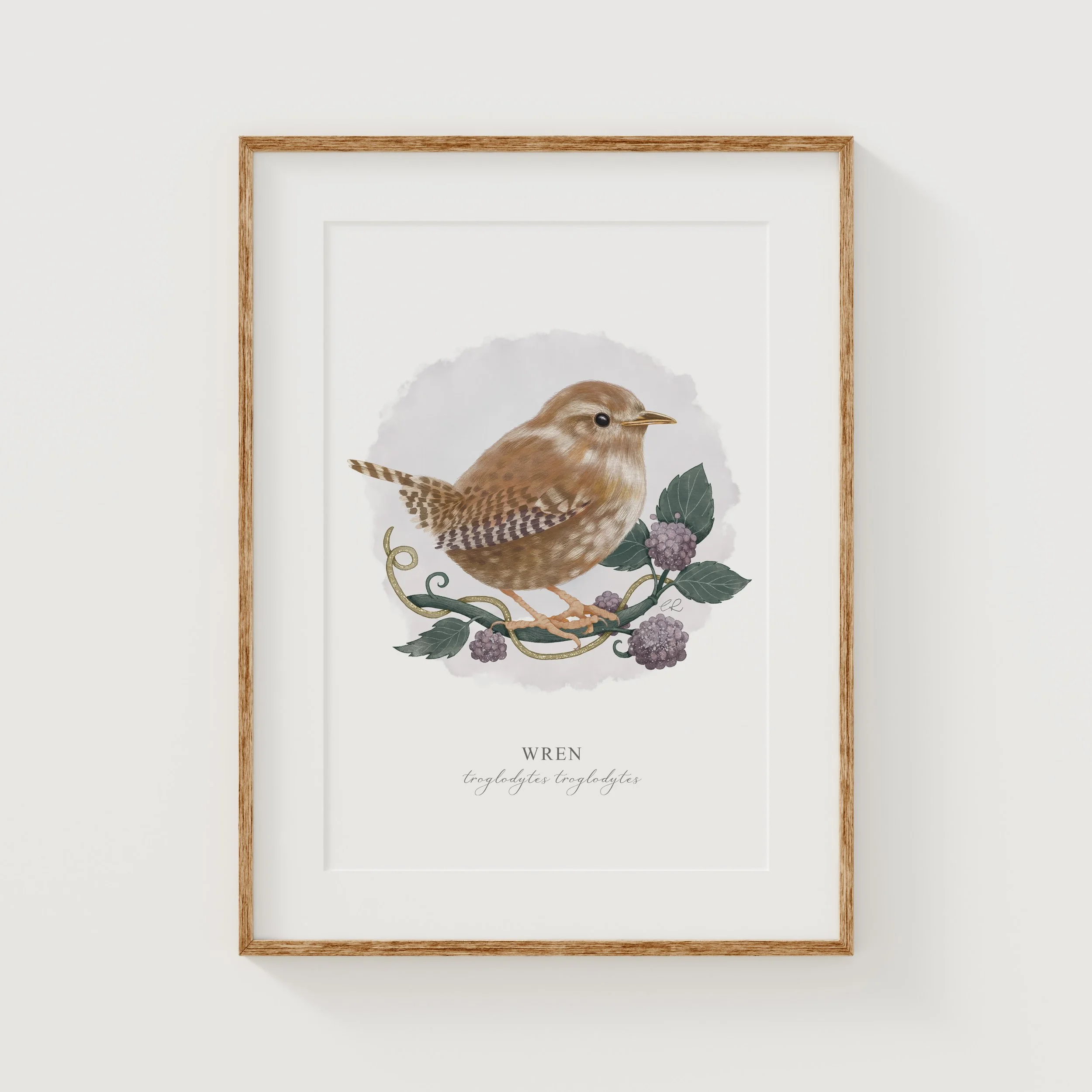 Wren and berries art print.jpg