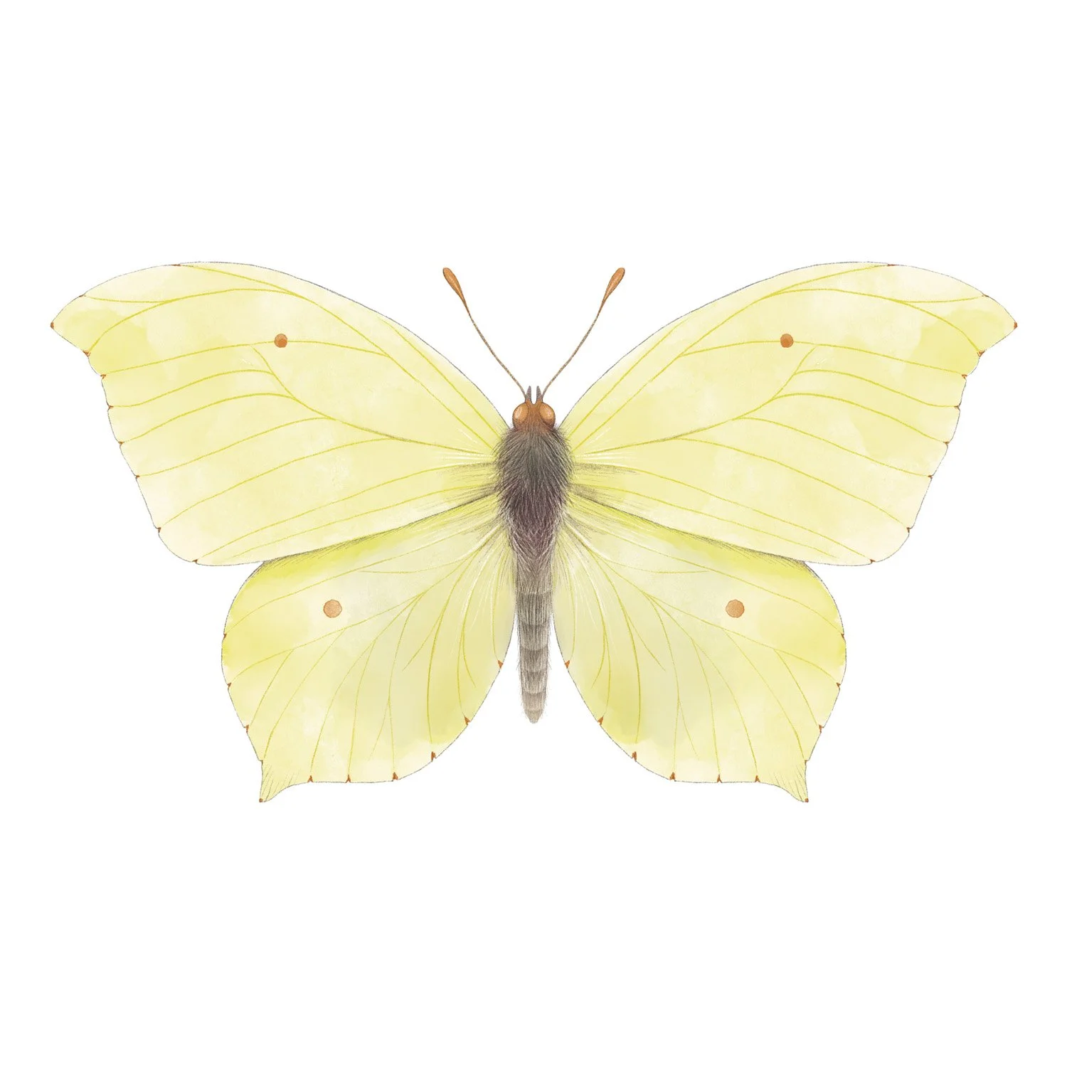 BRIMSTONE