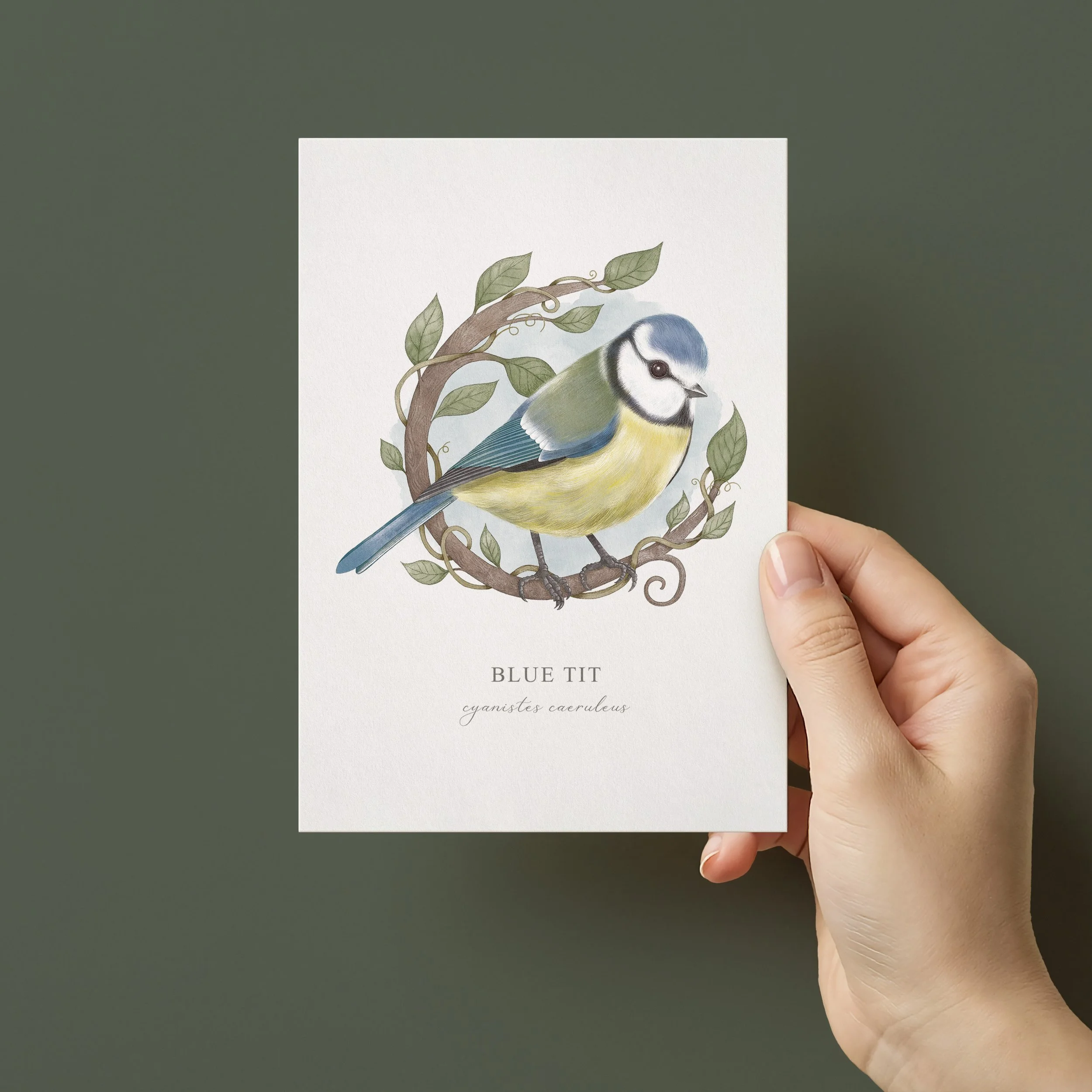 Hand holding Blue tit notecard illustrated by Cassandra Riley.