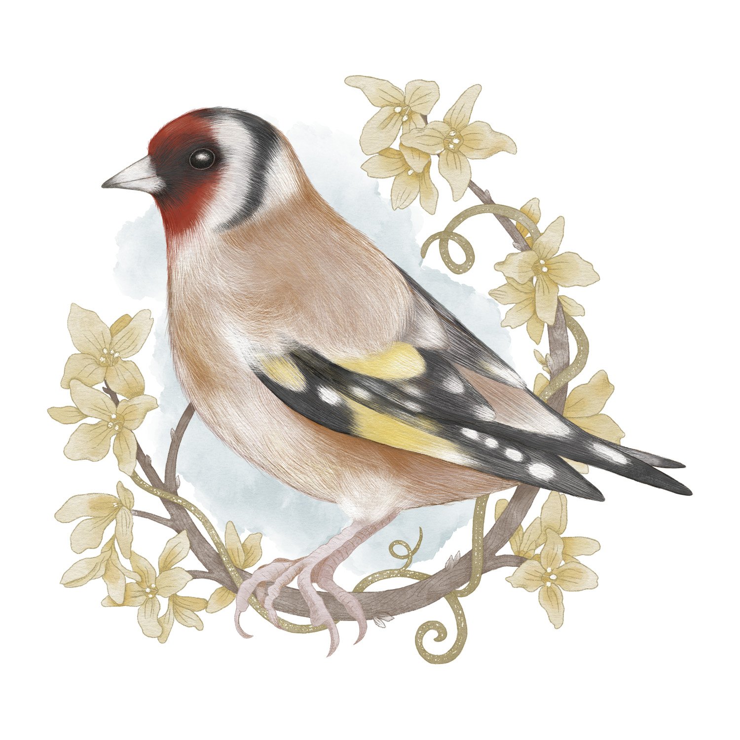 GOLDFINCH - CRD105