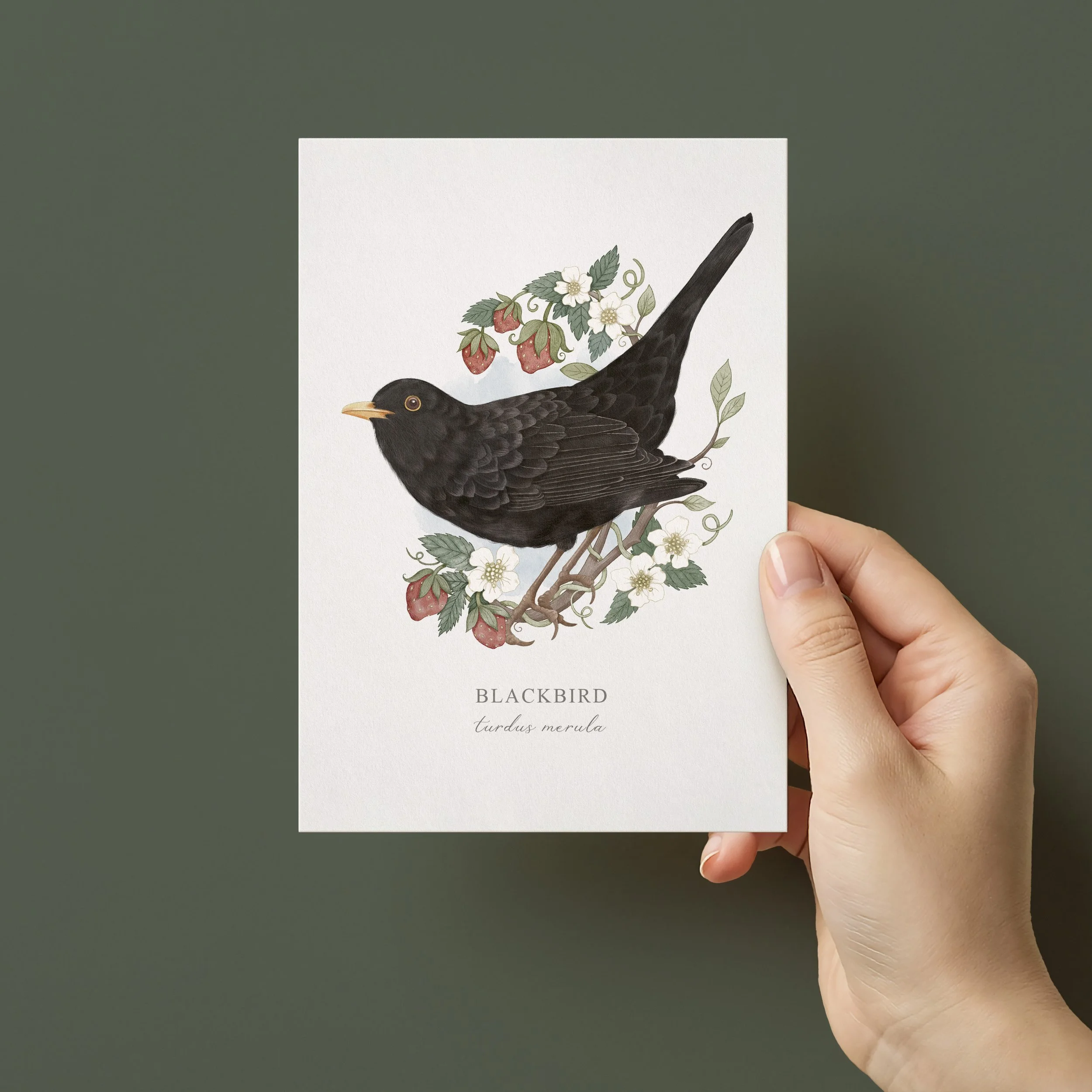 Hand holding Blackbird illustrated greeting card. The card features a watercolour of a blackbird amongst strawberries painted by Cassandra Riley.