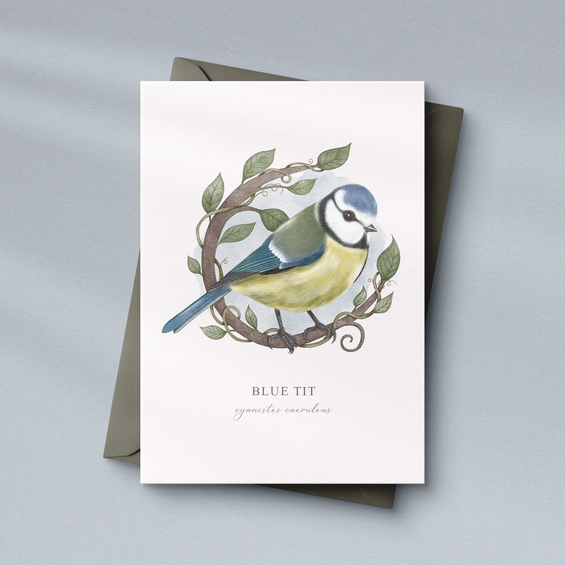 Blue Tit illustrated greeting card sat on a dark grey envelope..
