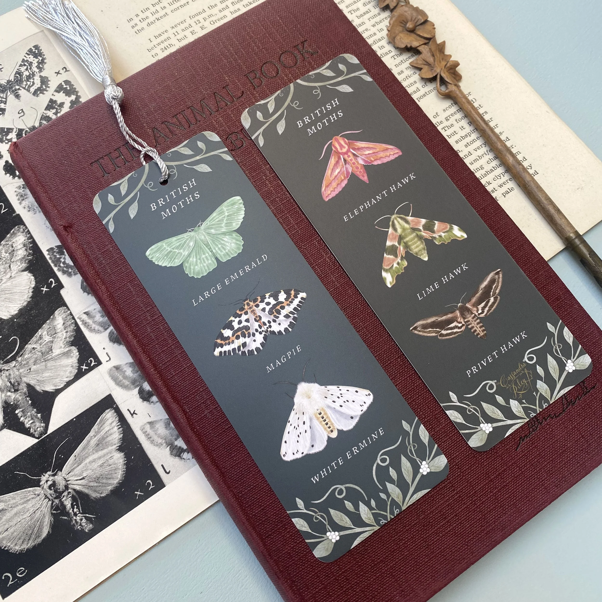 lepidopterist bookmark.jpg