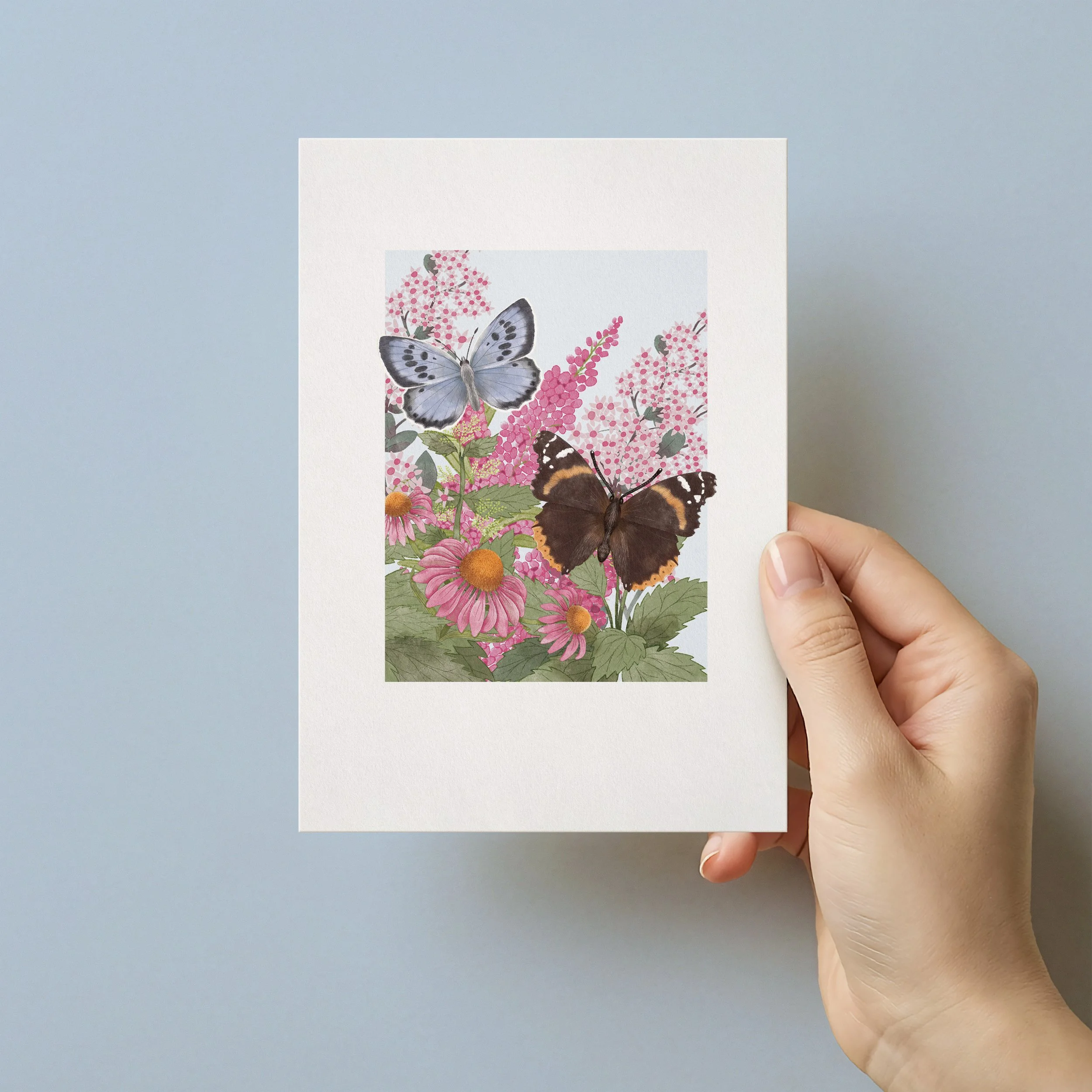 Hand holding an illustrated greeting card. The watercolour illustration is painted by Cassandra Riley and features a Large Blue Butterfly and Red Admiral butterfly amongst pink flowers.