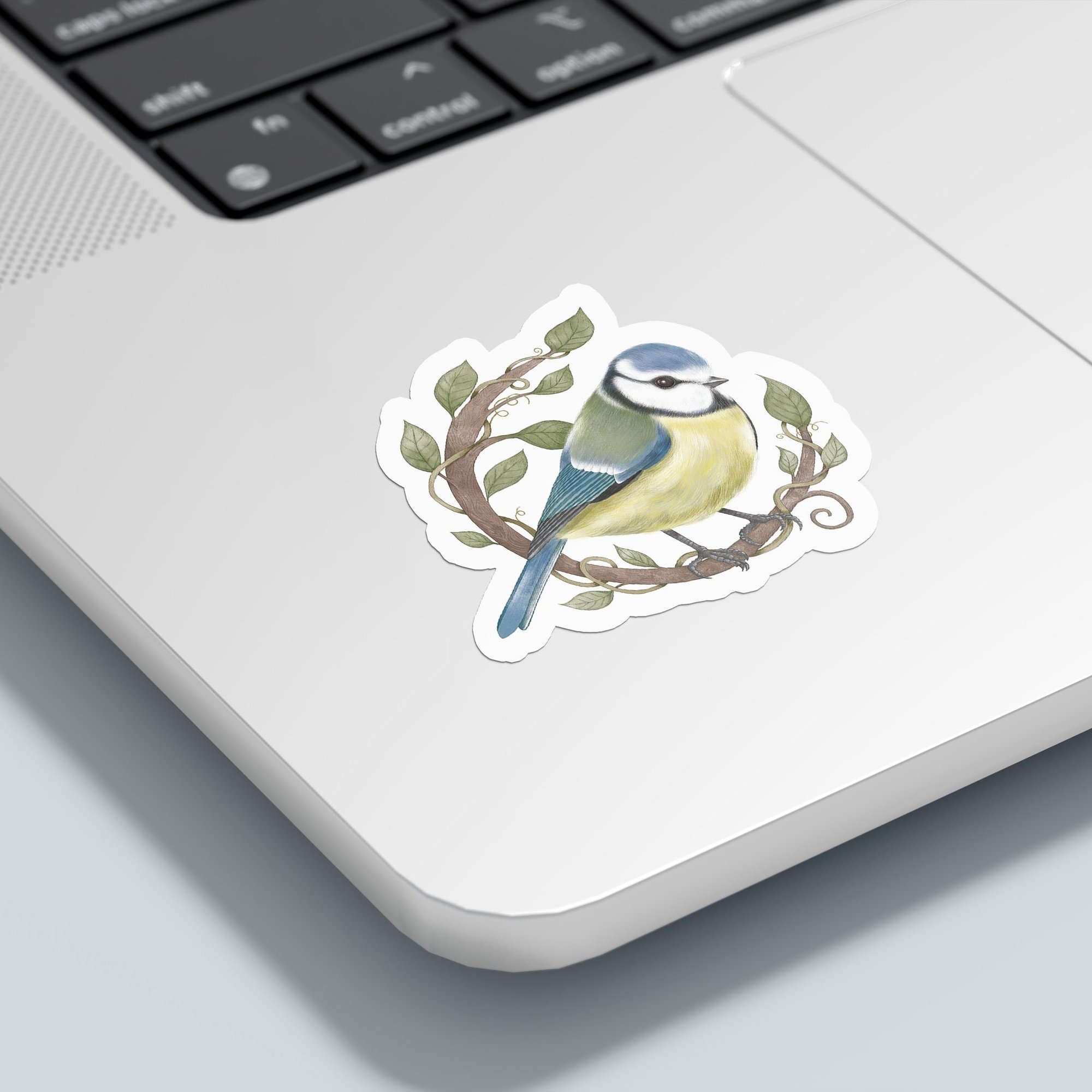 Blue+Tit+Sticker+on+laptop.jpg