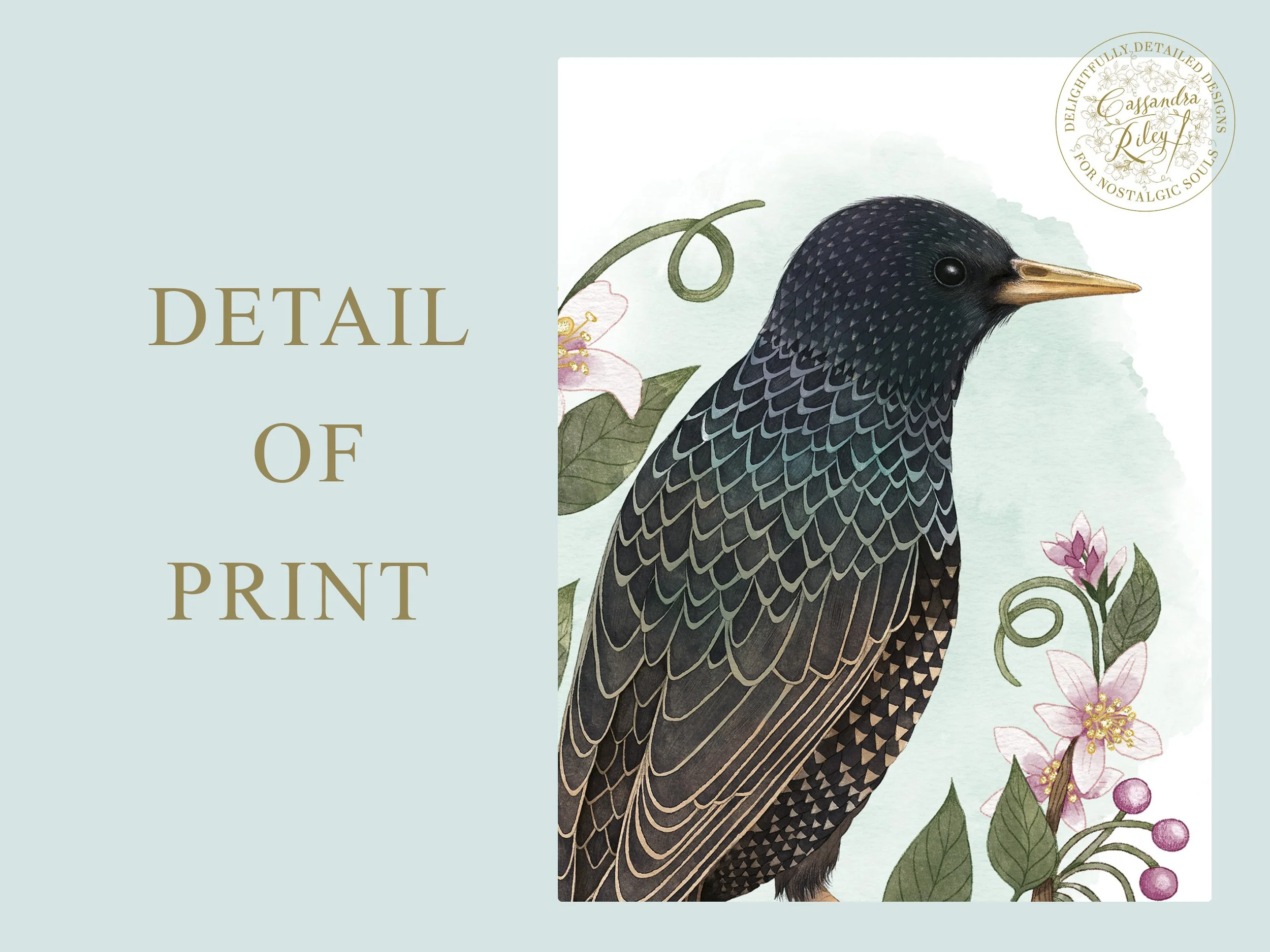 Detail of Starling print.jpg