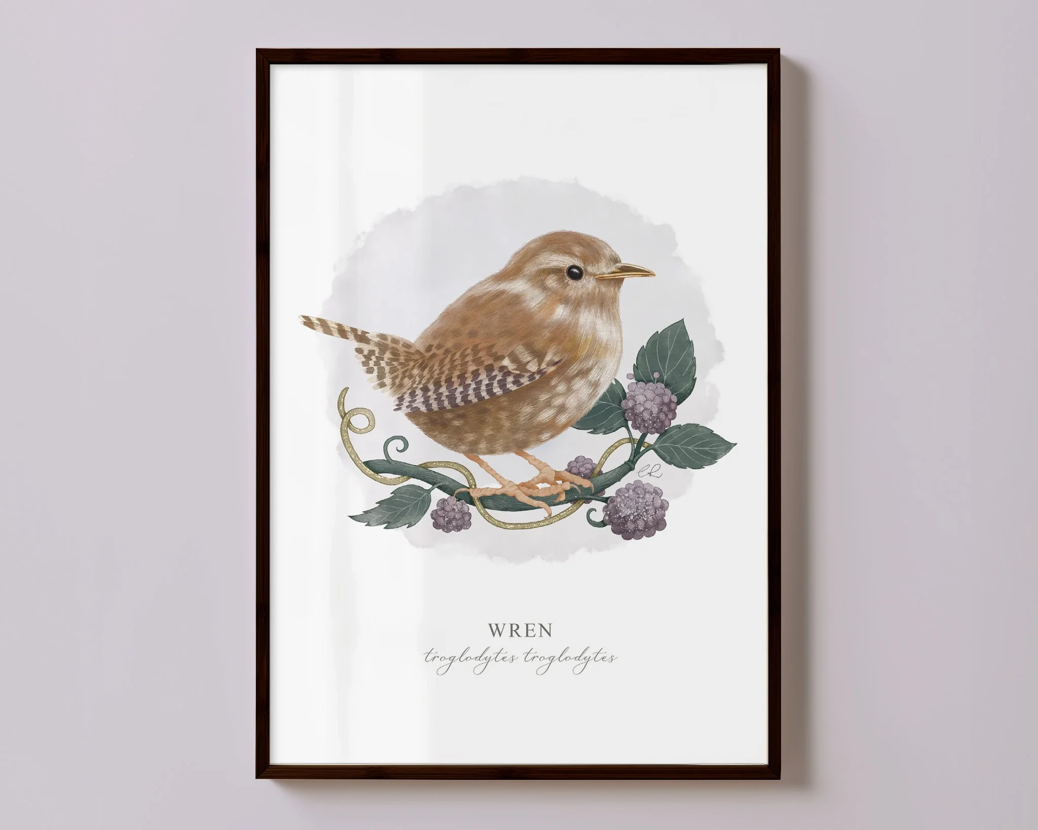 wren art print copy.jpg
