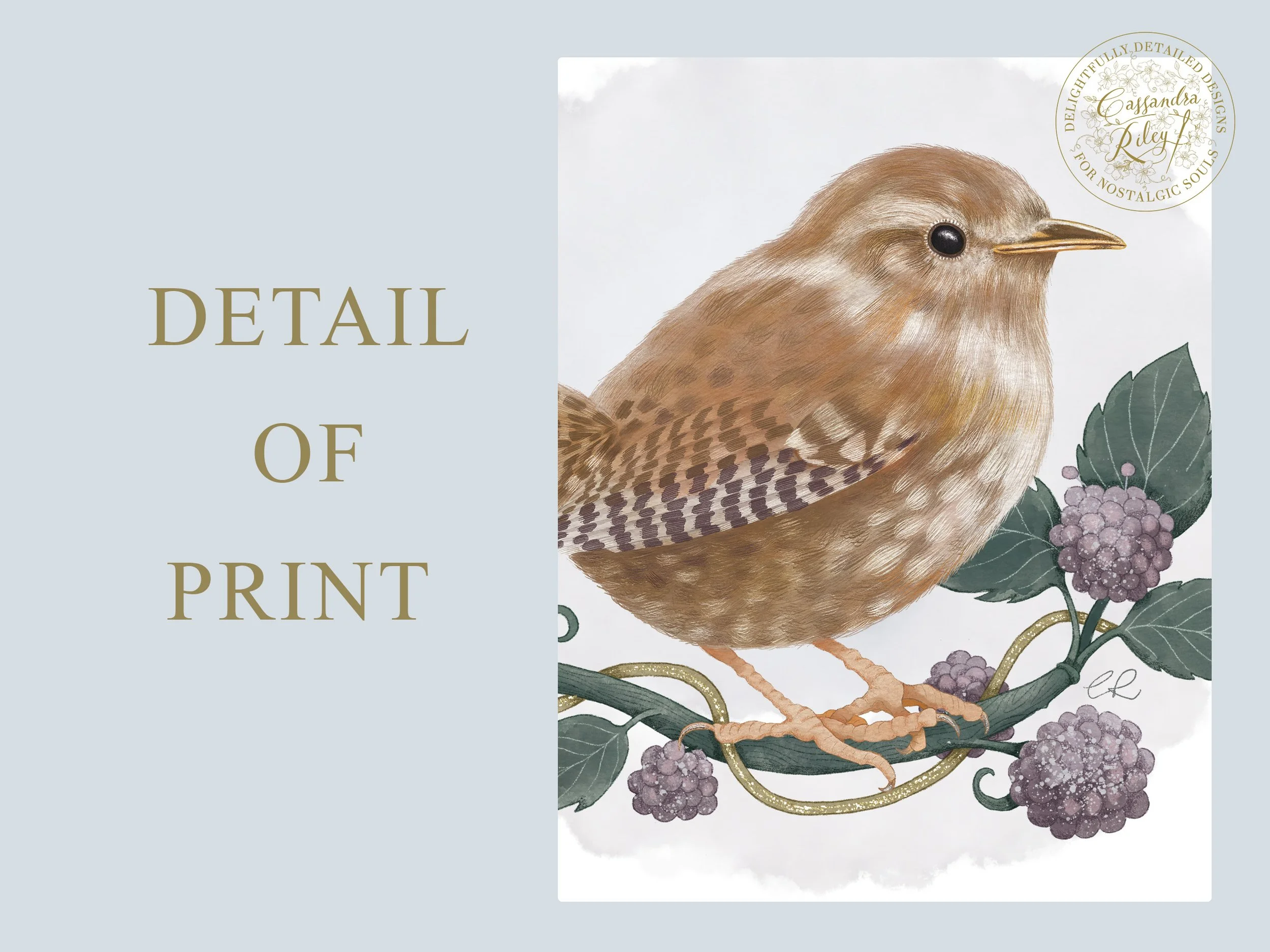 detail of wren art print.jpg