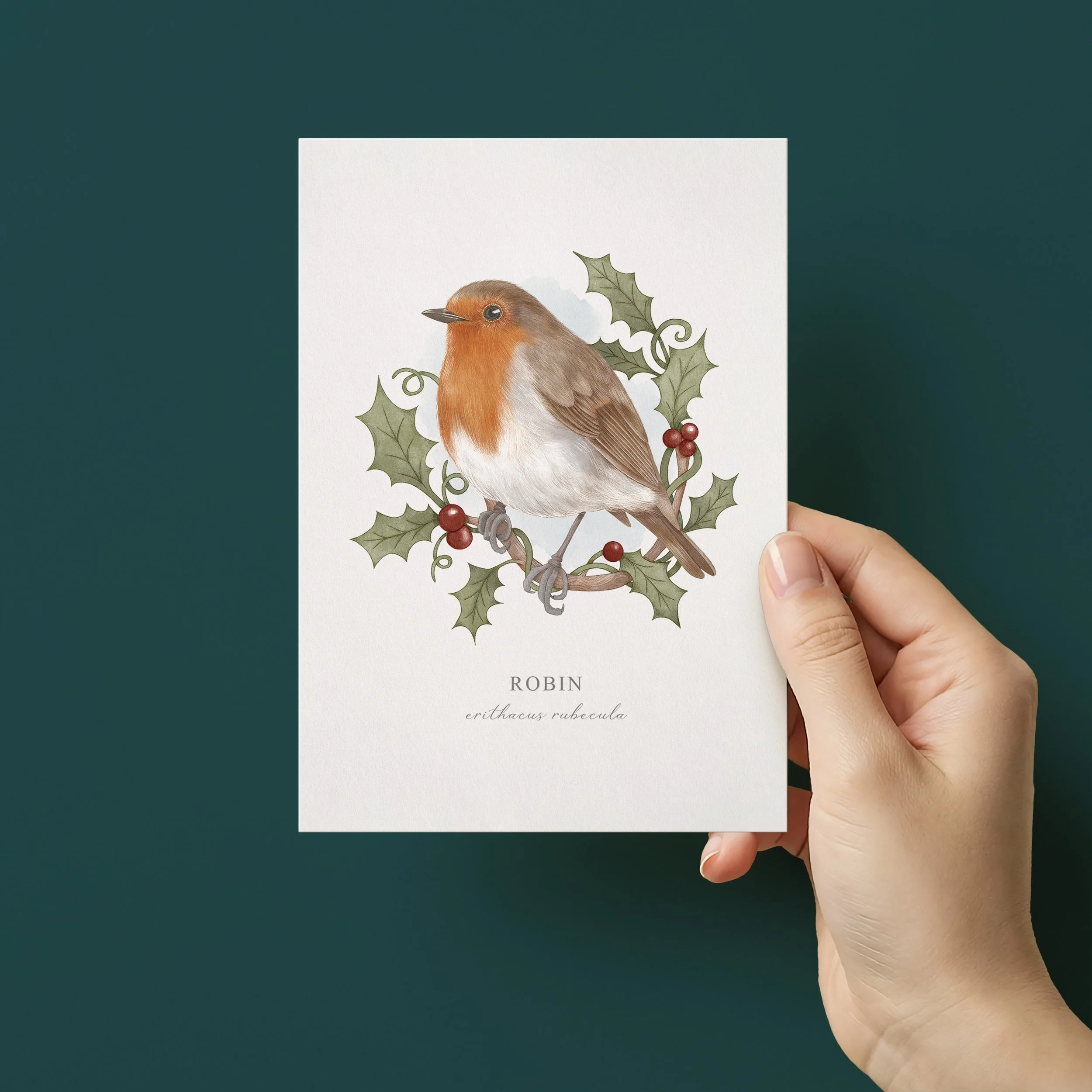 Hand holding an illustrated Robin greeting card.