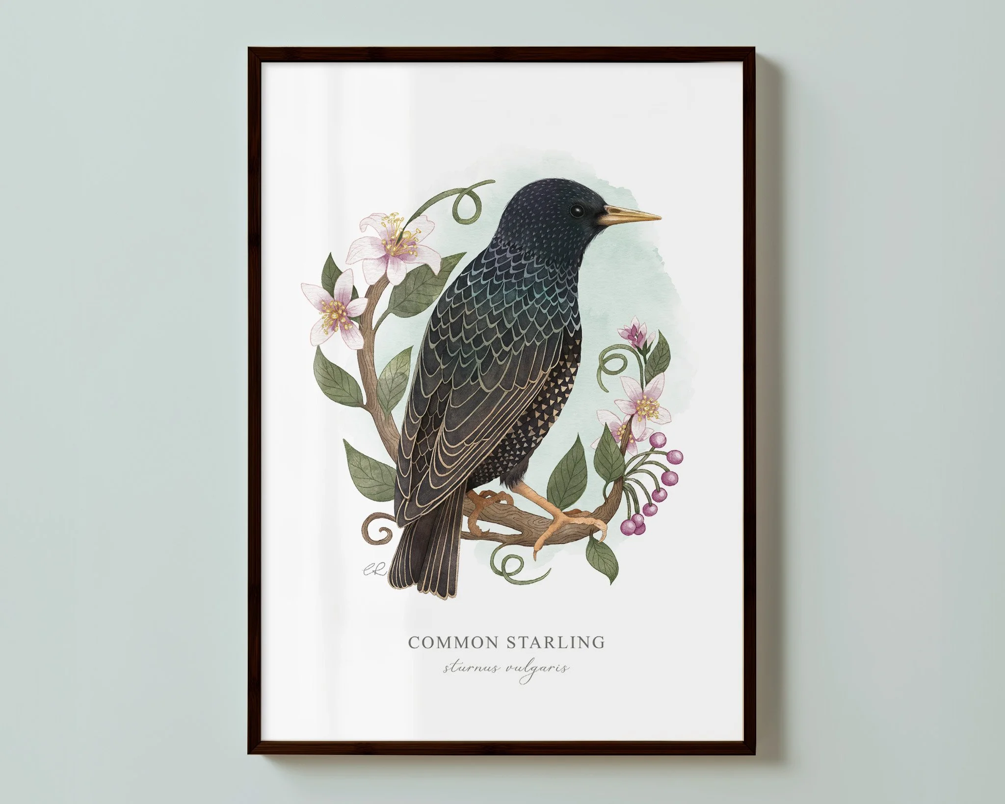 landcape starling print.jpg