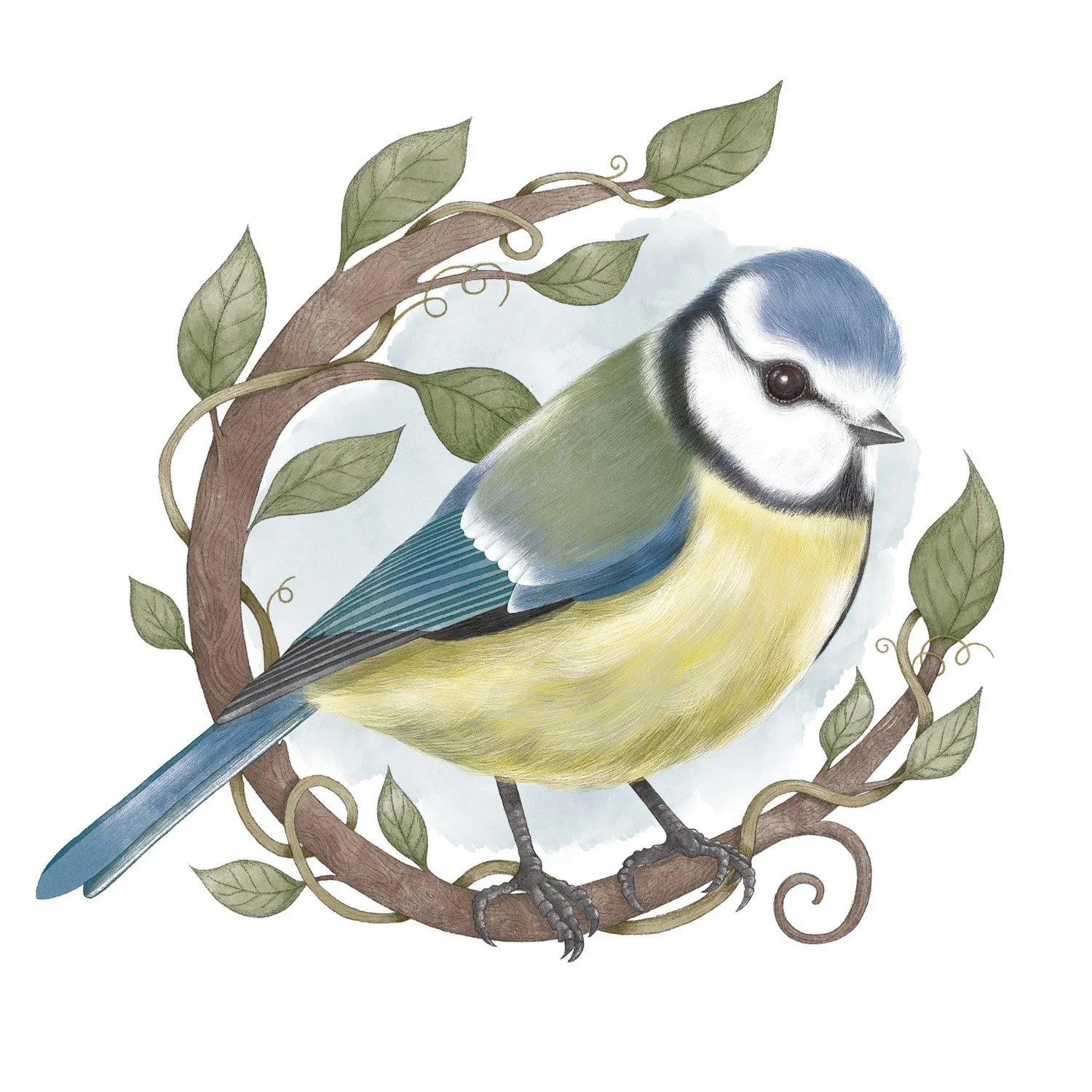 BLUE TIT - CRD99