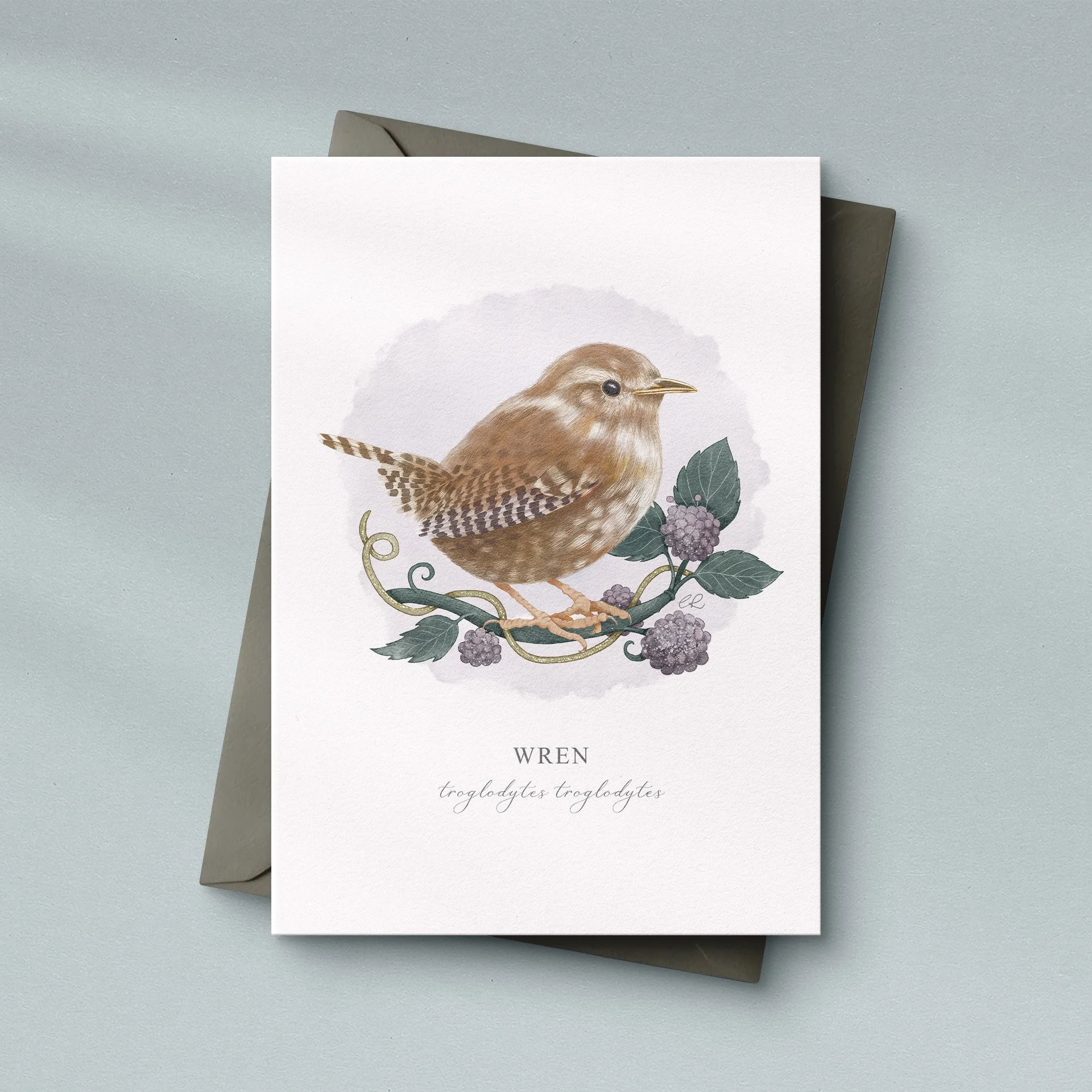 Wren greeting card sitting on a dark grey envelope. Watercolour illustration by Cassandra Riley.