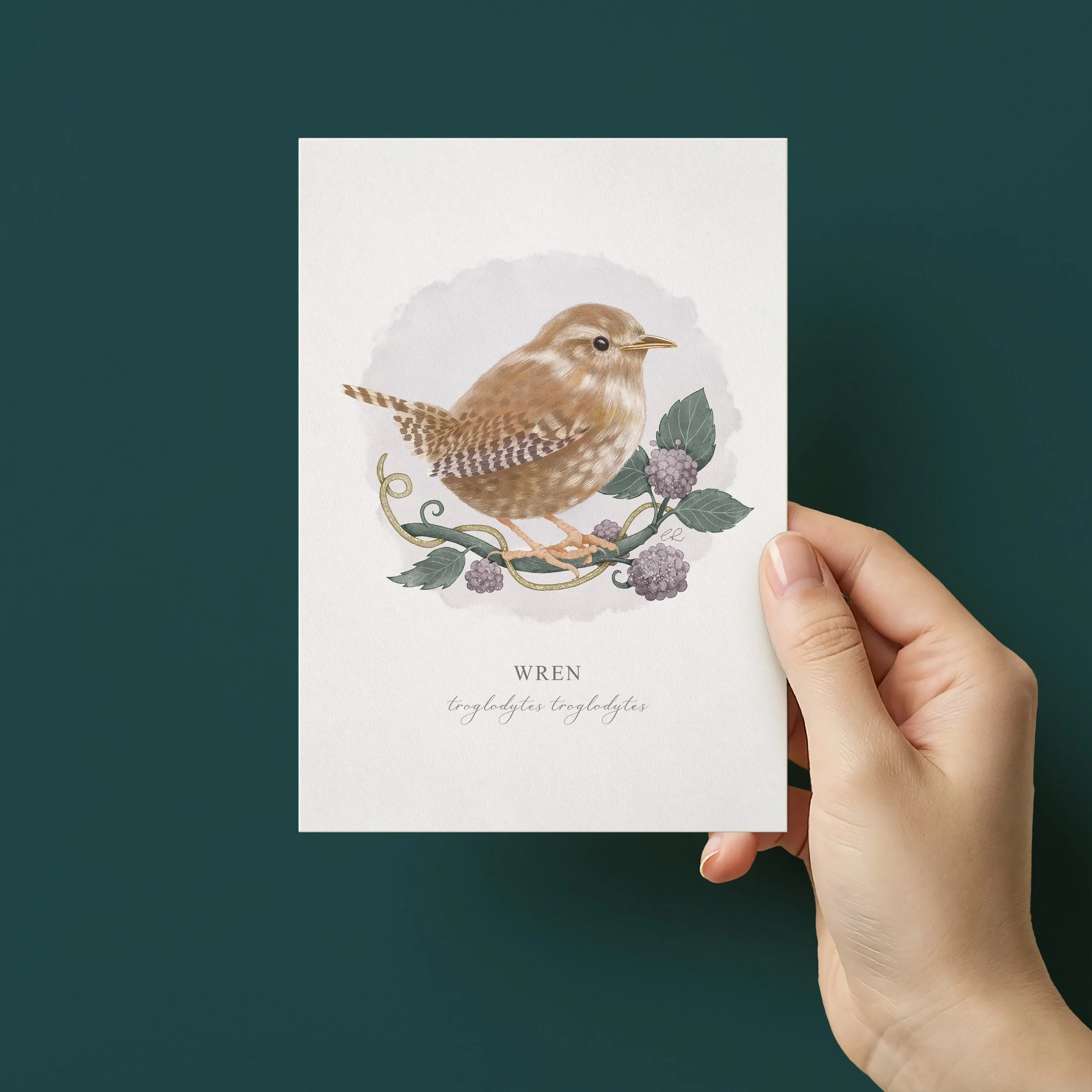 Hand holding greeting card featuring an illustration of a wren on a branch with berries.