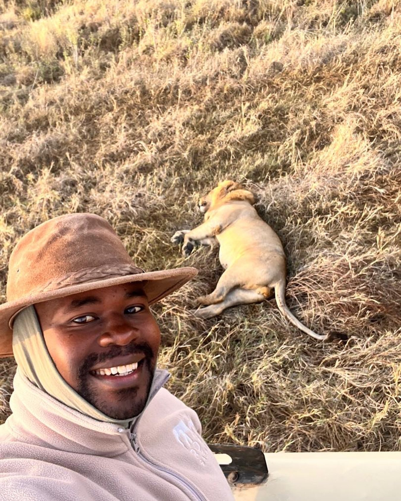 Our guide John and our guests had a beautiful lion sighting this morning in Serengeti National Park 🦁😁🤳🏾 

#rohosafaris #serengetinationalpark #tanzaniasafari #serengetilion #goodmorningserengeti #serengetisafari #wildlion #lioninthewild #tanzani