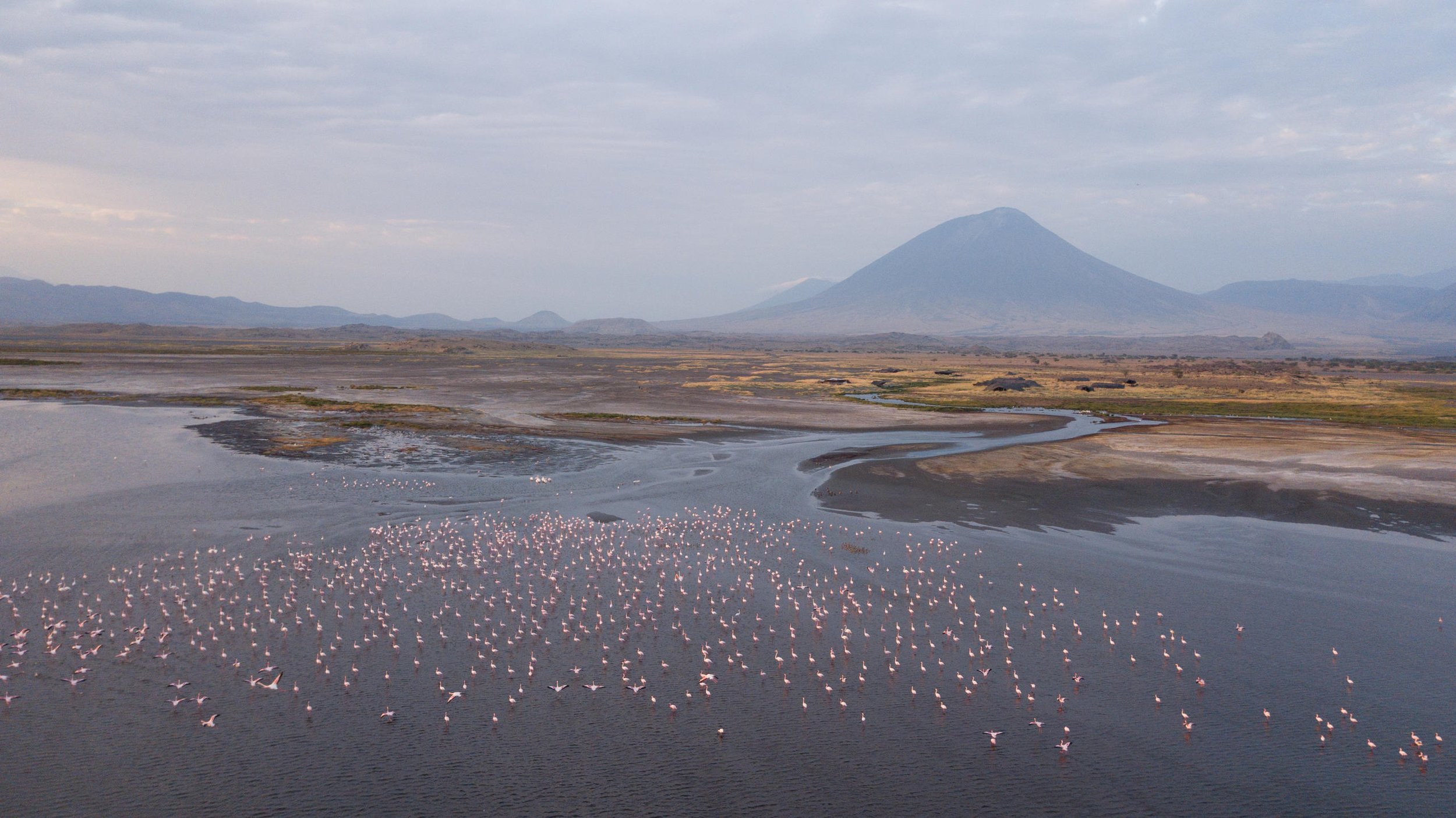 Lake Natron CampFlamingos_1.jpeg