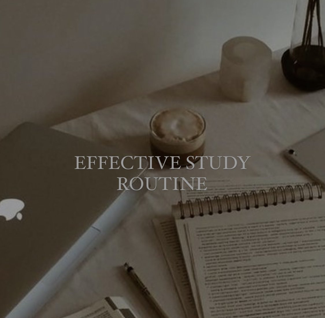 study.jpg