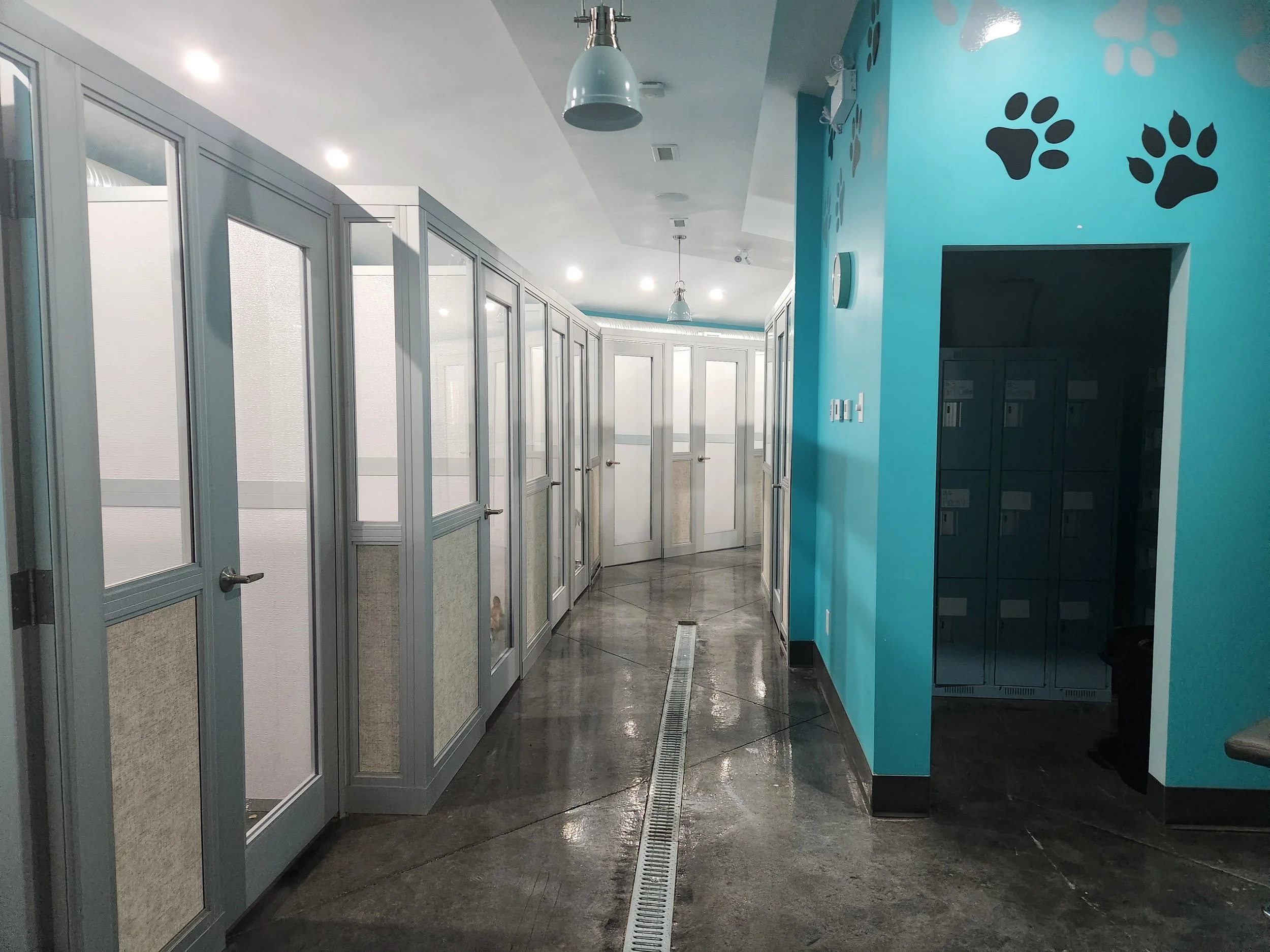 Companion Inn Pet Resort & Boarding Saskatoon