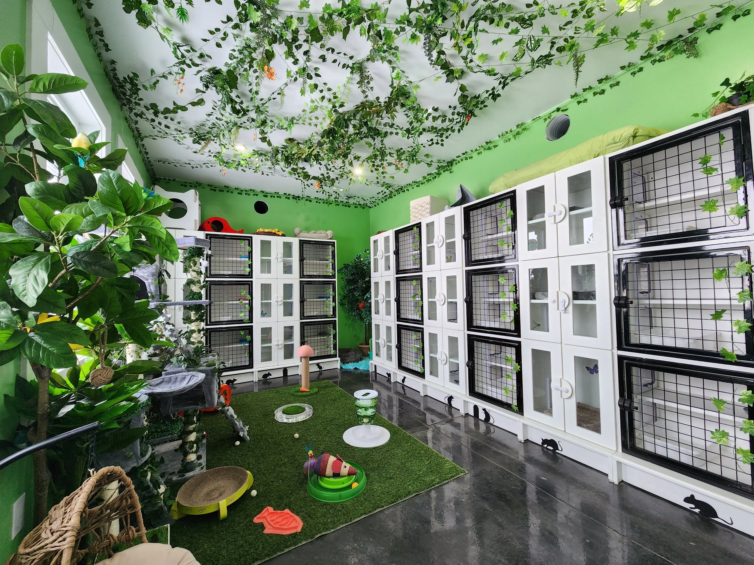 Pet Boarding Pampered Pet Services Resort Spa Pet Inn The Pampered