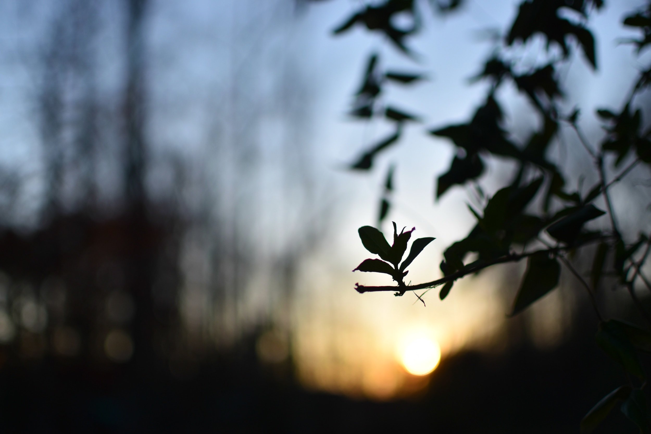 DSC_0673 edited.jpeg