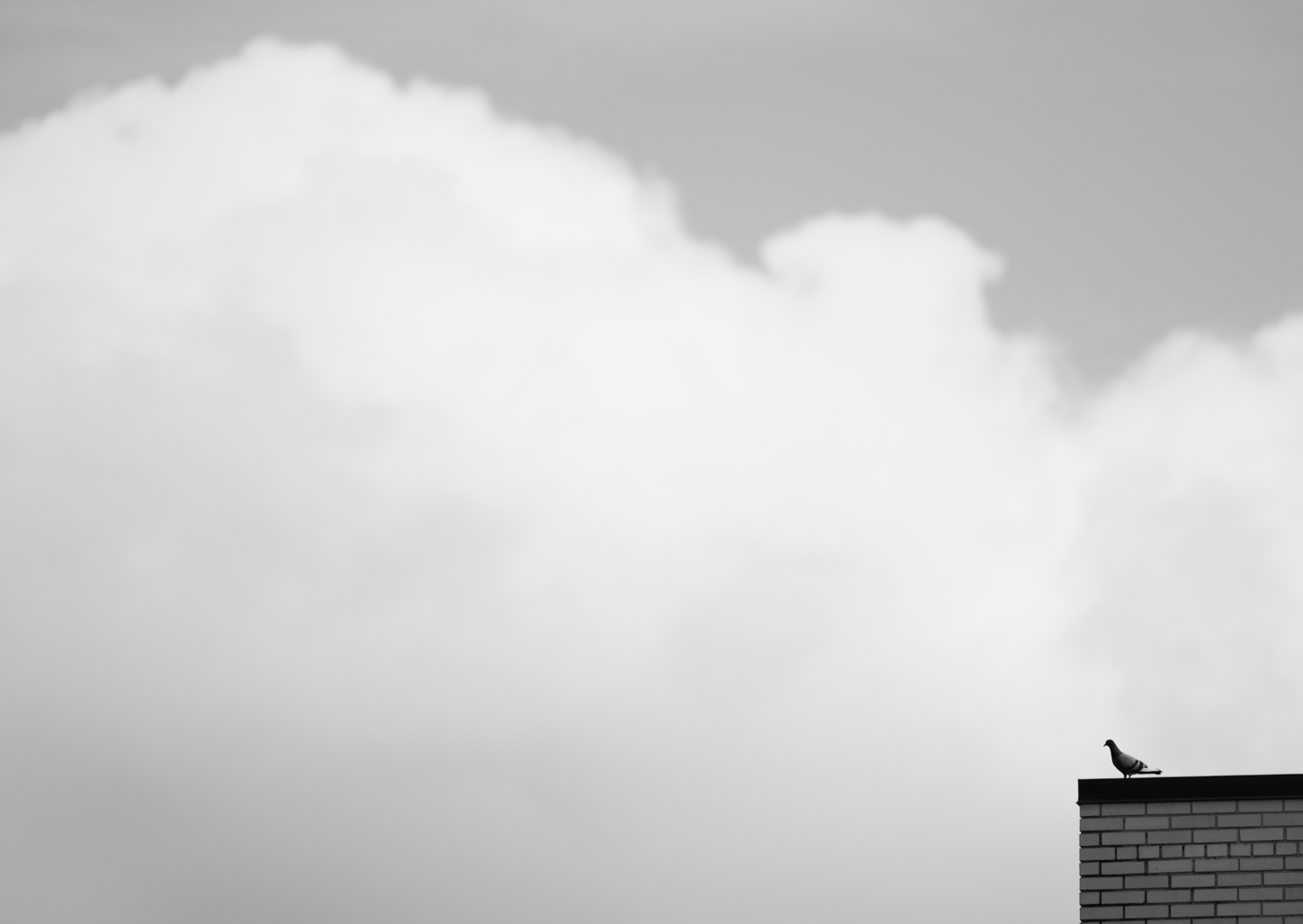 DSC_2567.png