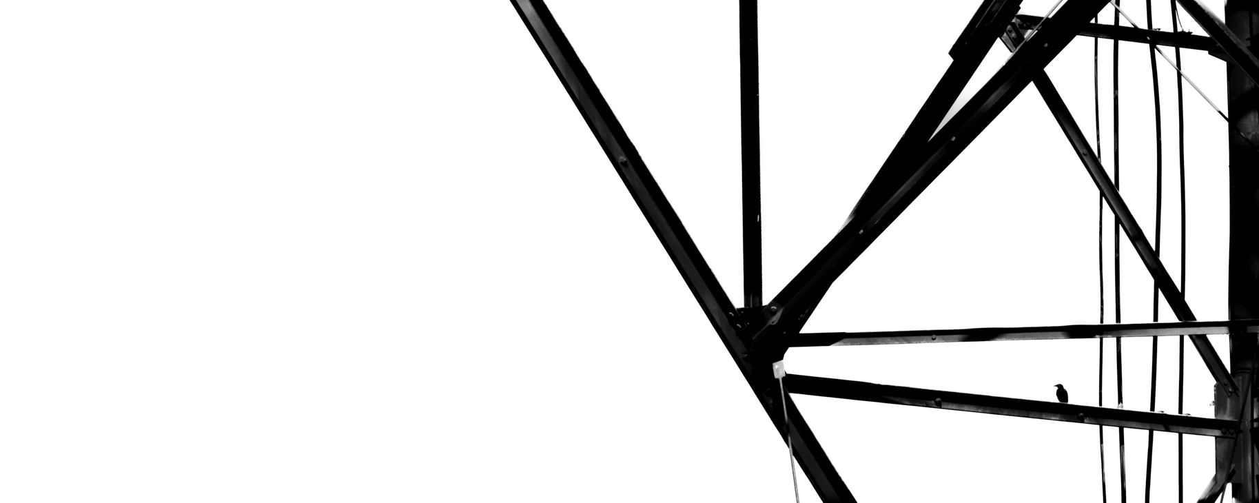 DSC_2708.png