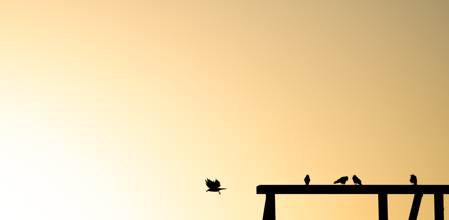 DSC_3130.png