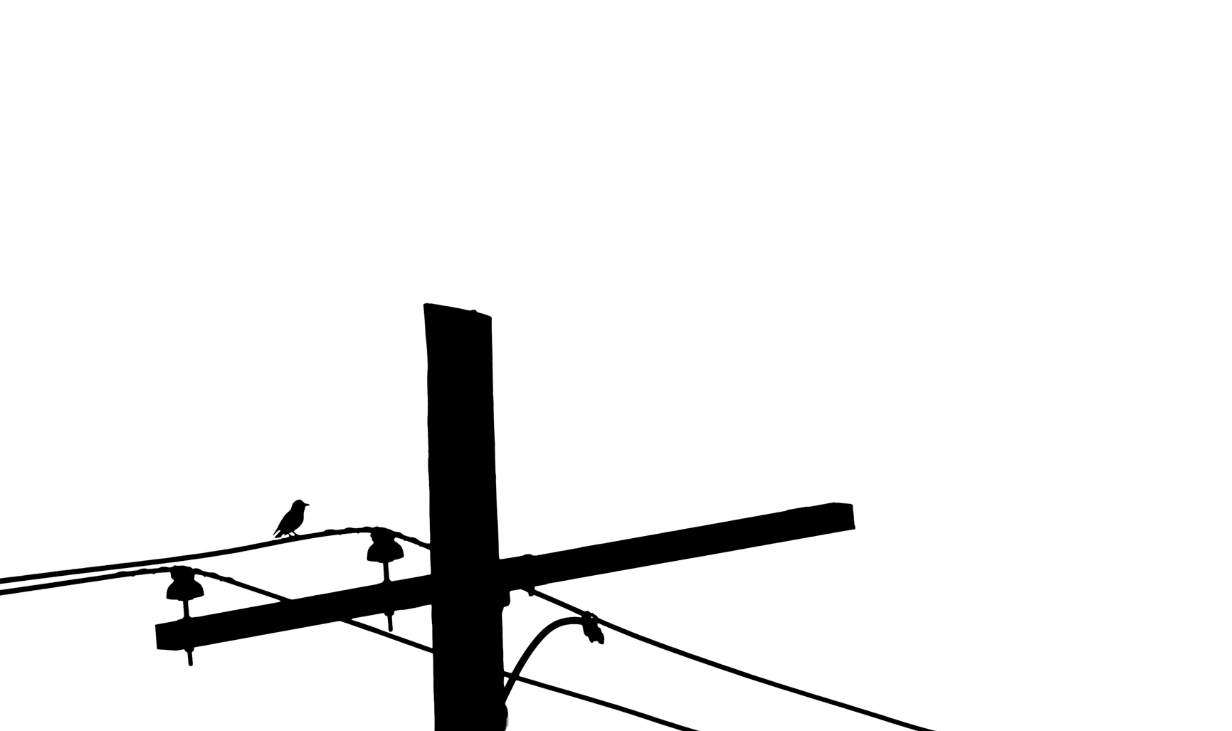 DSC_4116.png