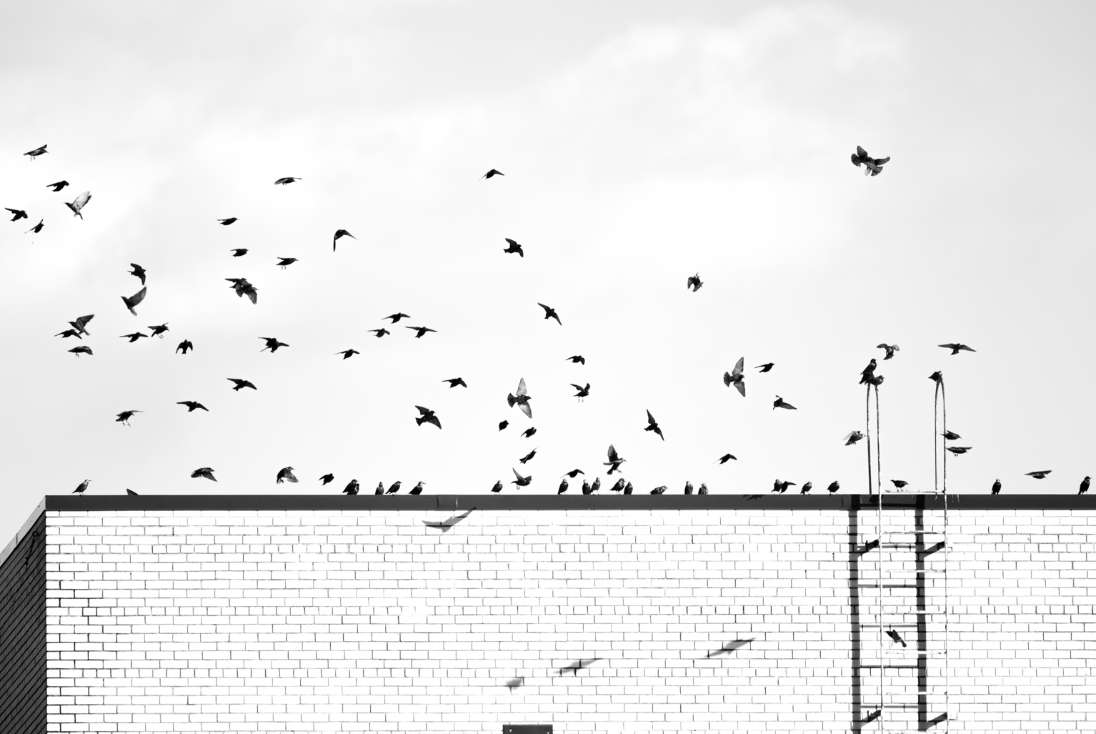 DSC_4176.png