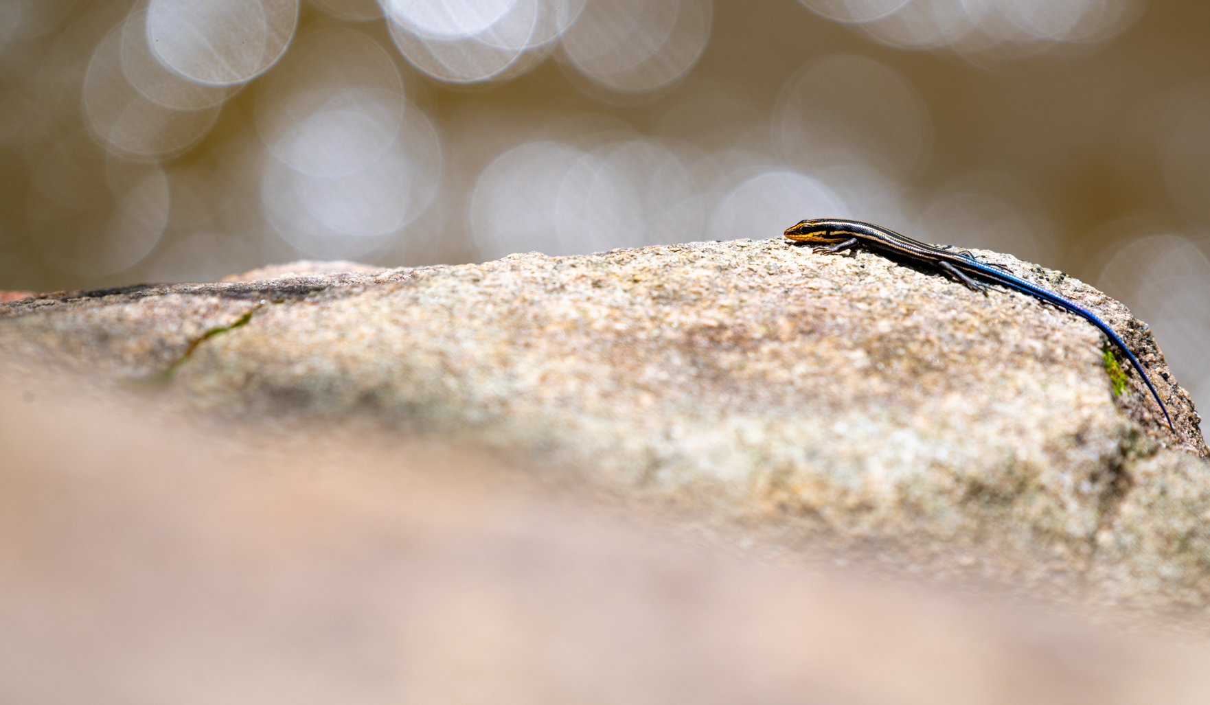 DSC_6885-2.png