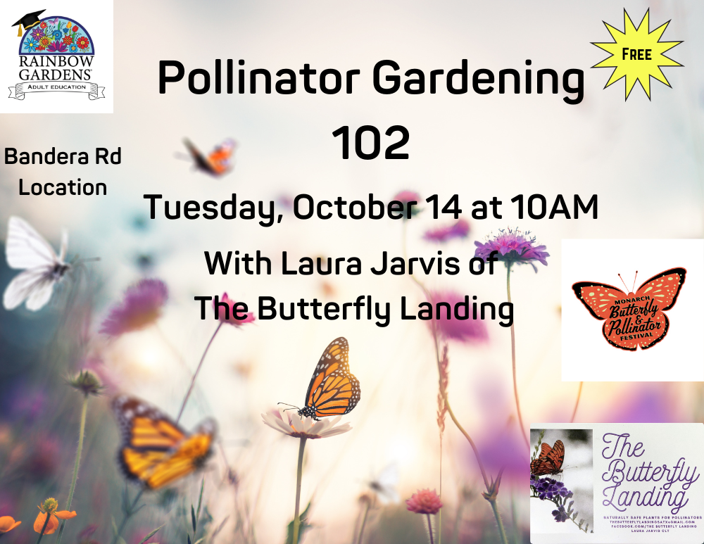 Pollinator gardening 102