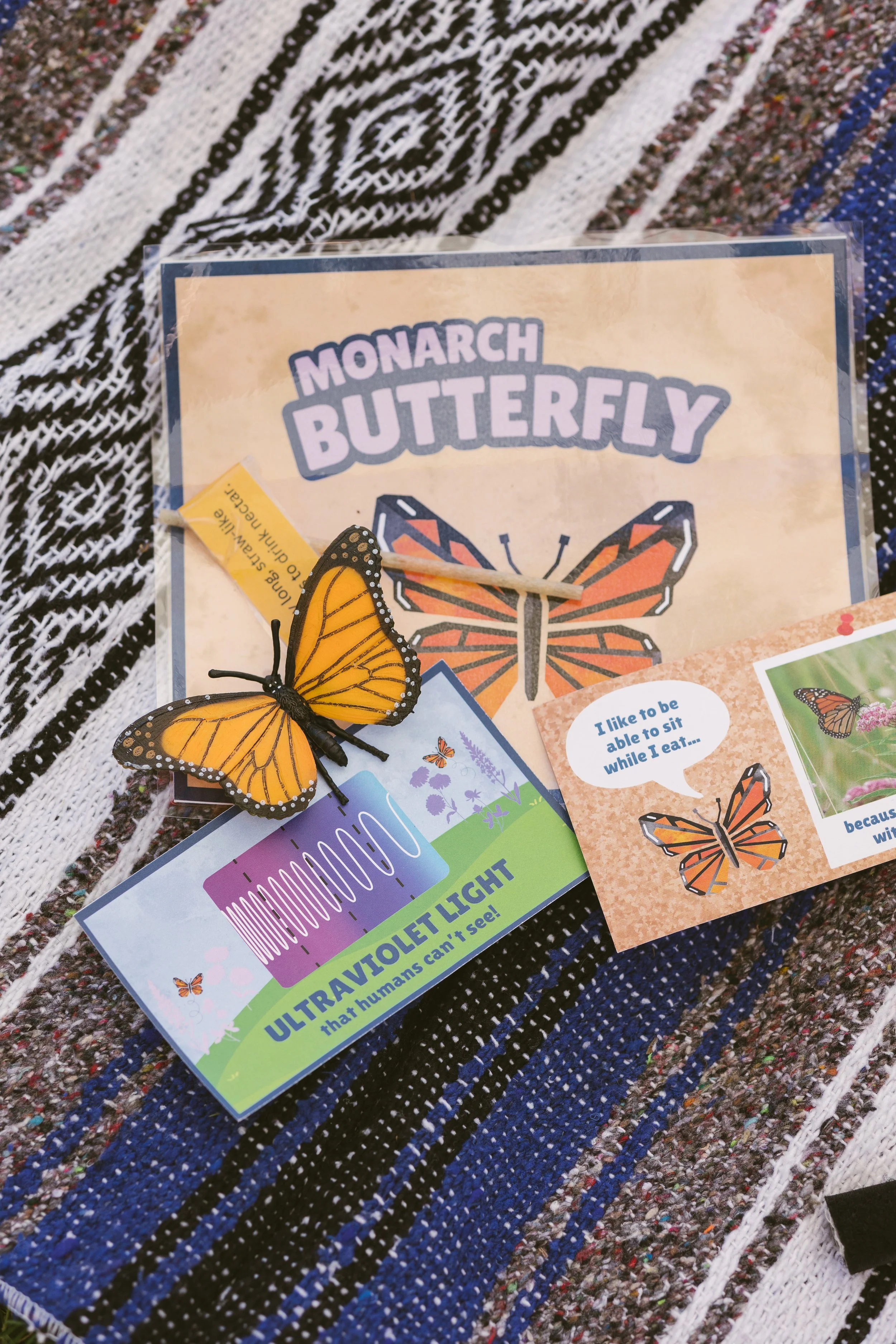 PP Pollinator Picnic 2025 Jazz SAlive11.jpg