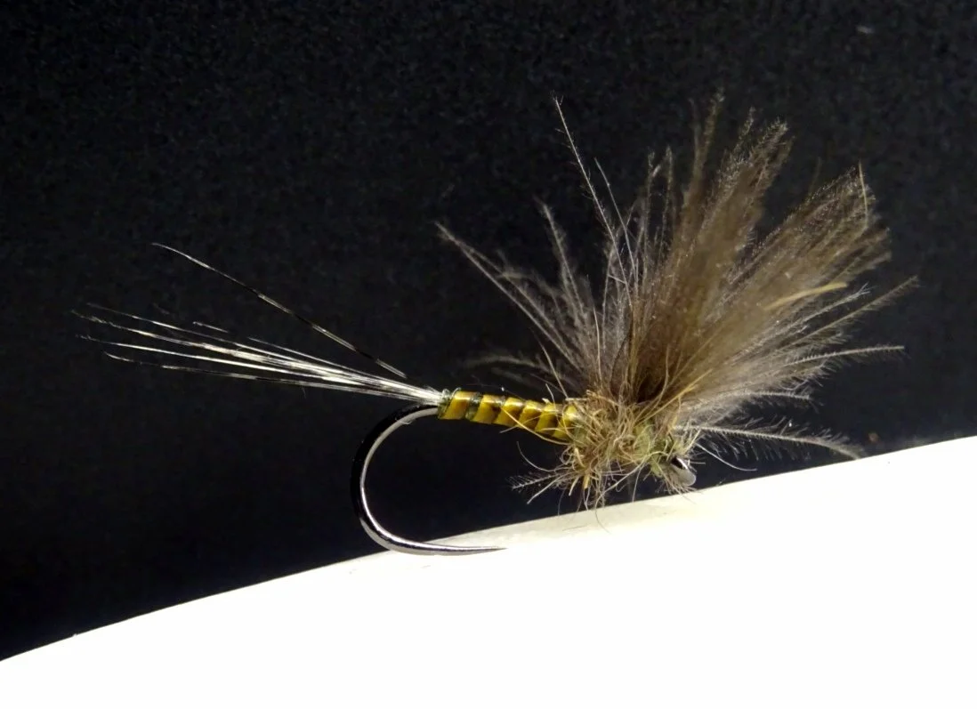 Olive Dun. Trout dry fly for Fly Fishing tied by Fly Tying Ed Madrigal