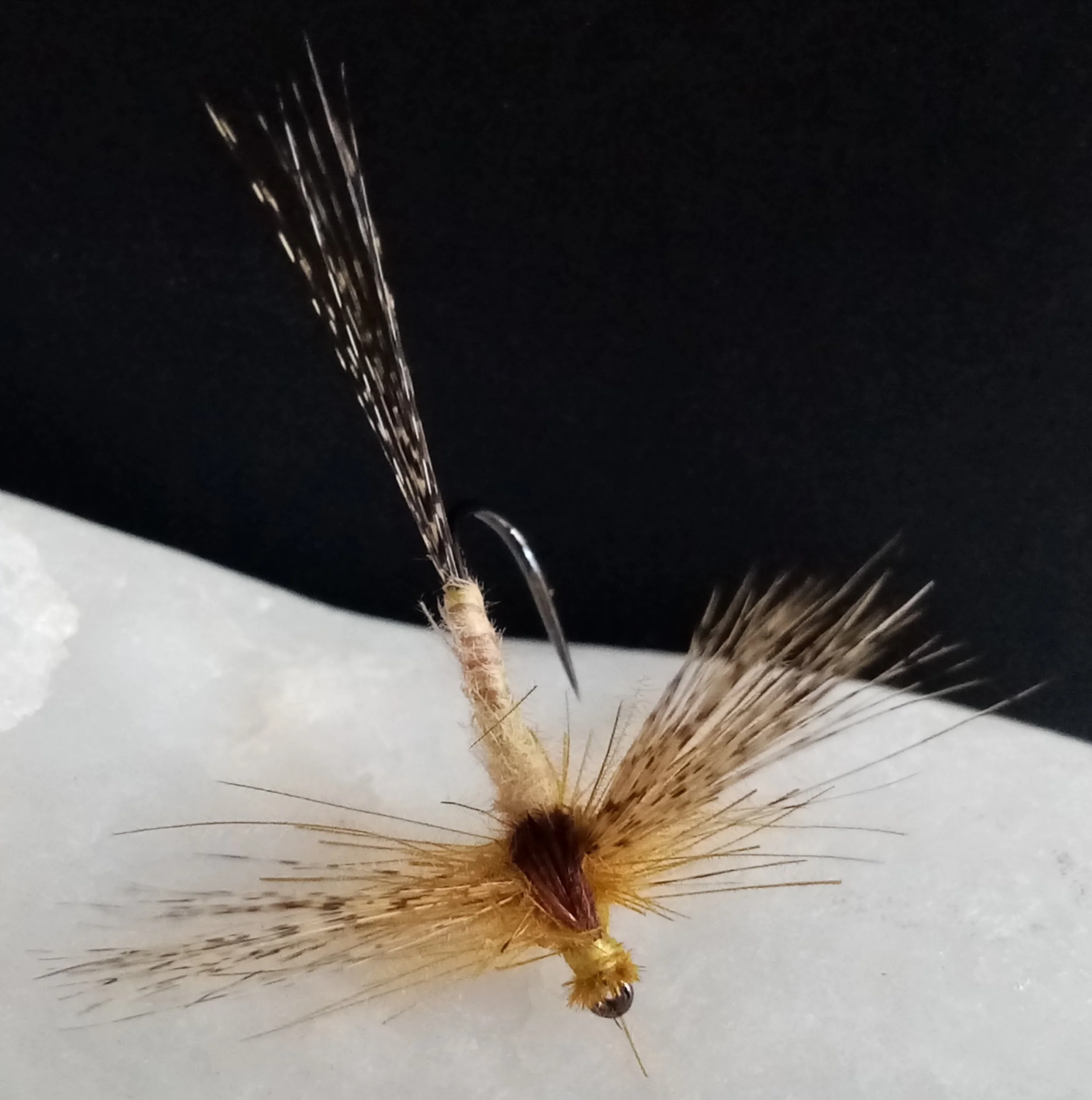 Mayfly Dun for trout fly fishing. Wings tied with Coq de Leon