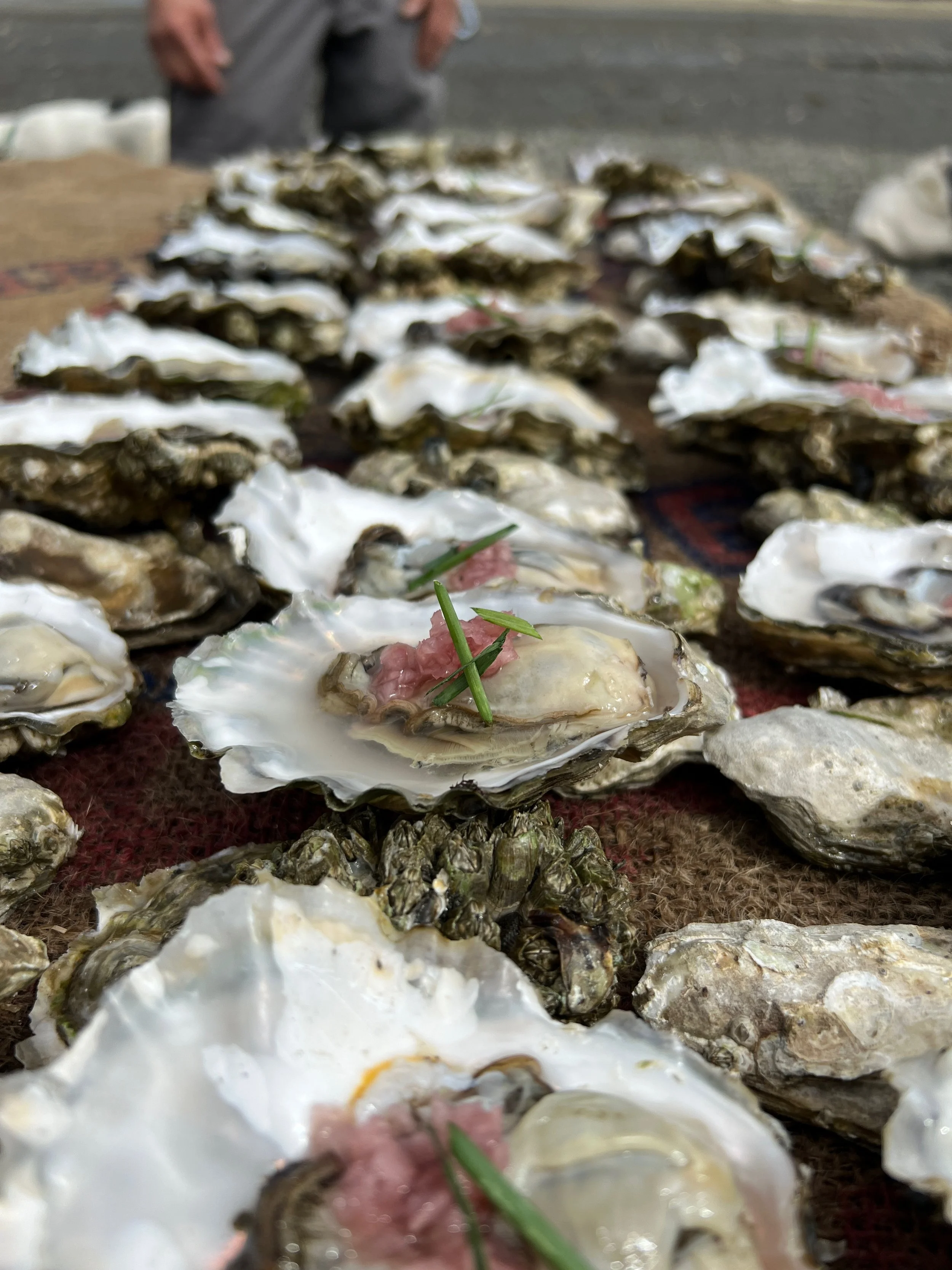 Copy of IMG_6664.jpeg