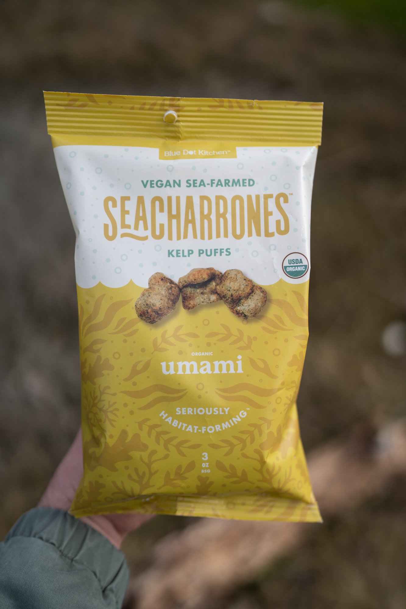 Seacharrones: a delicious, climate-friendly puffed snack food made from kelp.