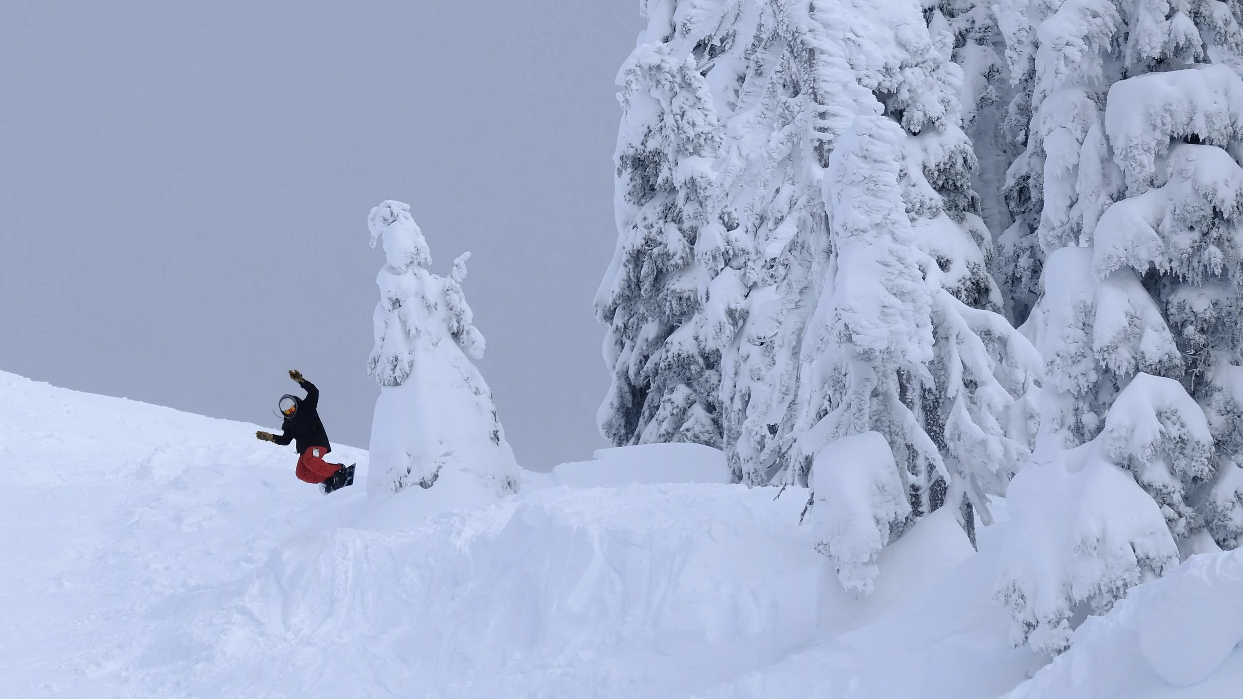 Copy of EA79DD98-AF51-4108-88E9-ED1A351100B5_1_201_a.jpg