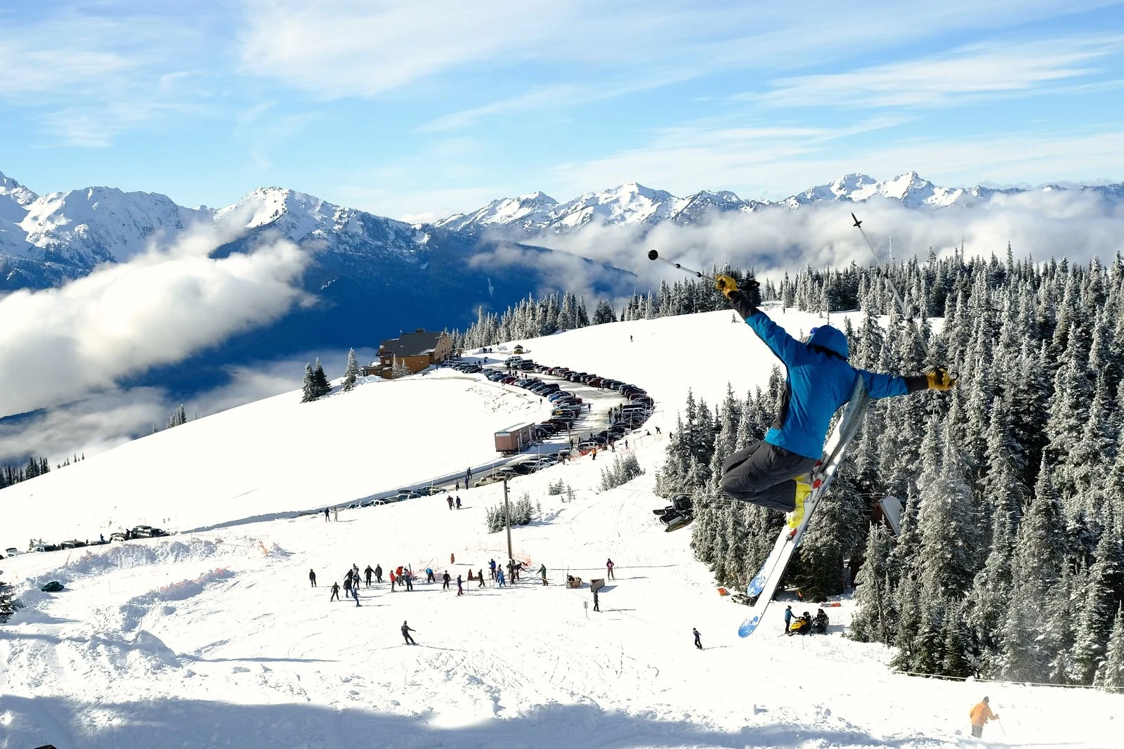 Copy of Backscratcher Intermediate.jpg