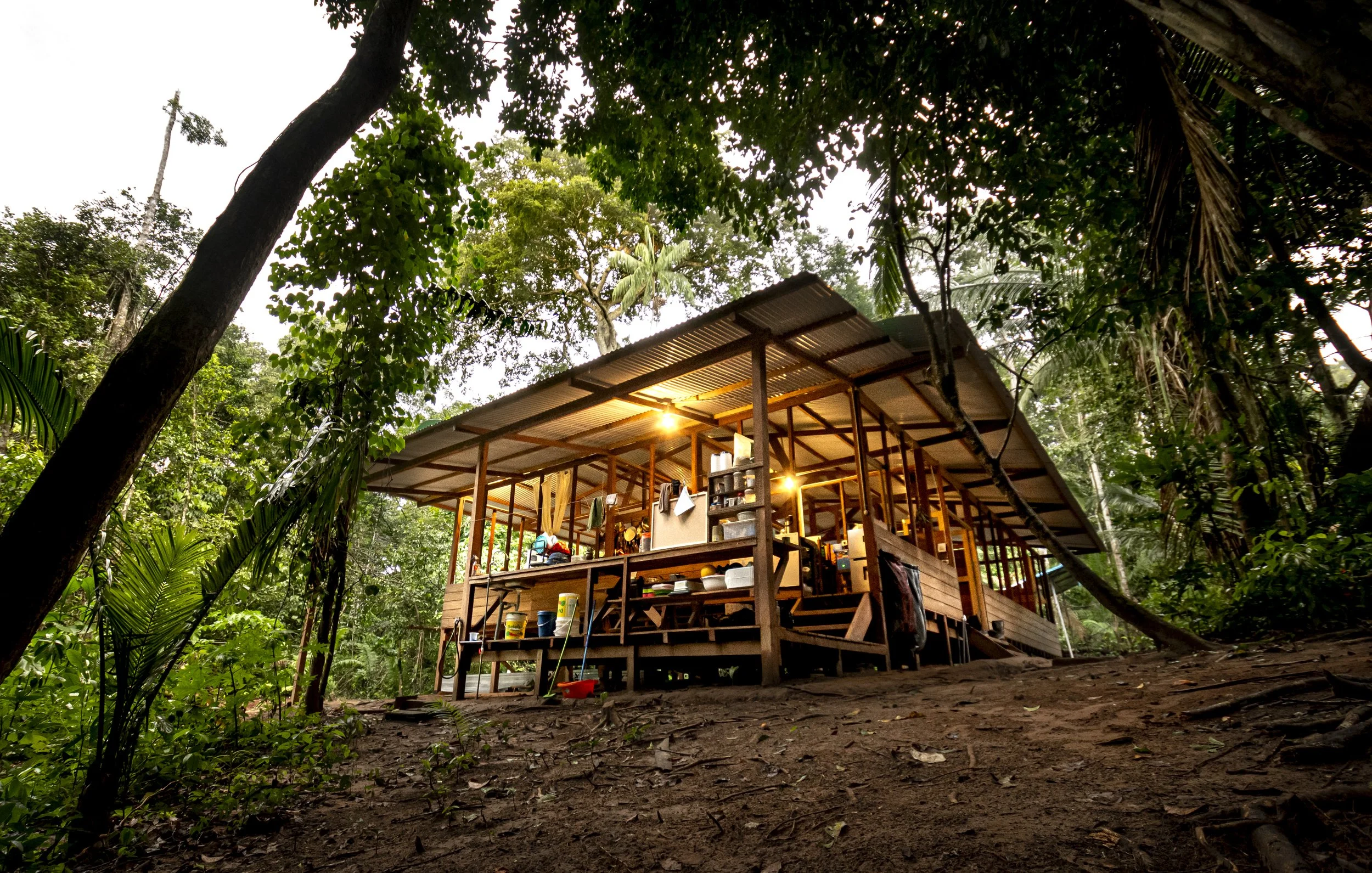 Copy of New ReWilding Center 1.jpg