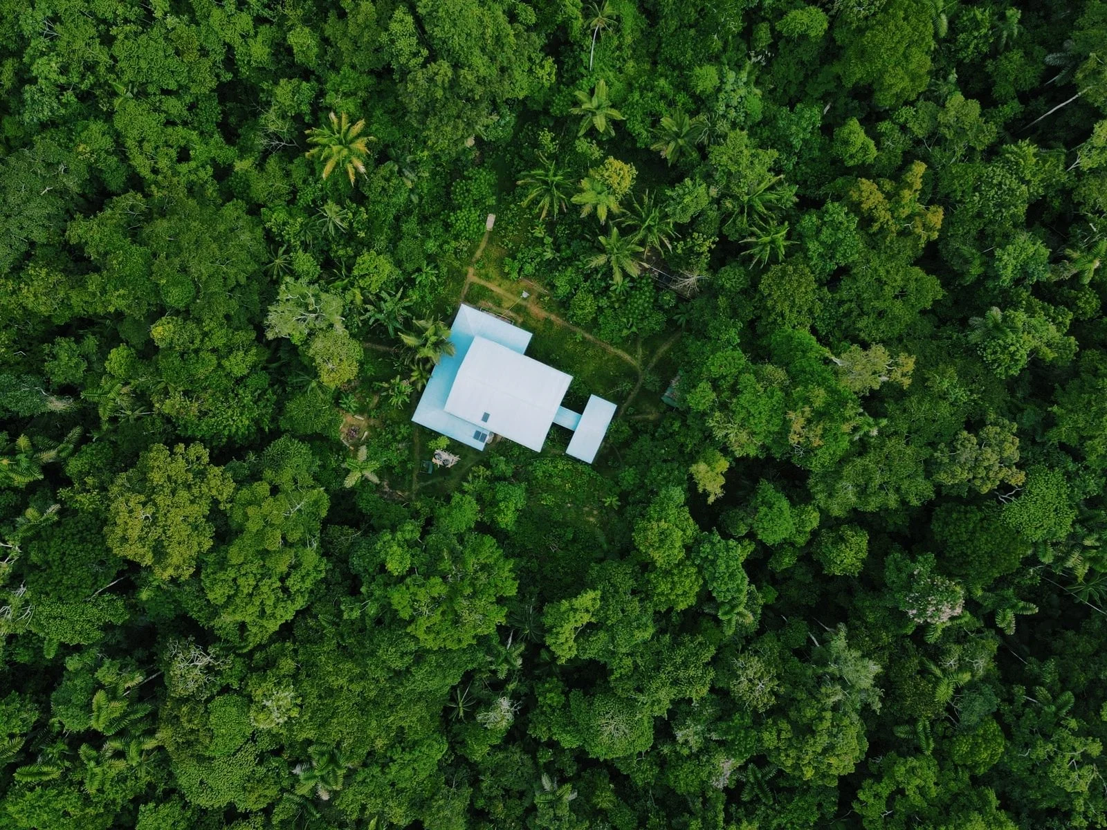  Hoja Nueva, located in Southeast Peru, occupies 7,000 acres of one of the most biodiverse and unprotected habitats on earth. It’s mission: to preserve Amazonian ecosystems, combat wildlife trafficking, rescue and rewild key species, and run a first-
