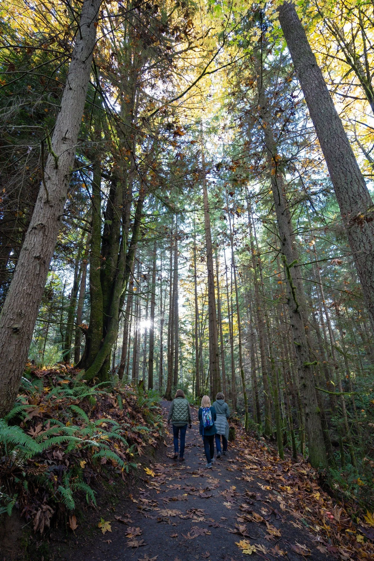 Copy of edited-6881.jpg