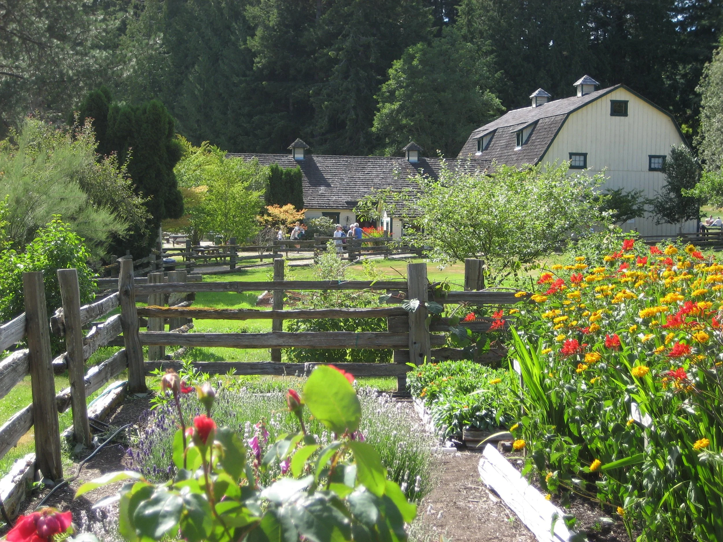 Copy of Barn & Garden2.JPG